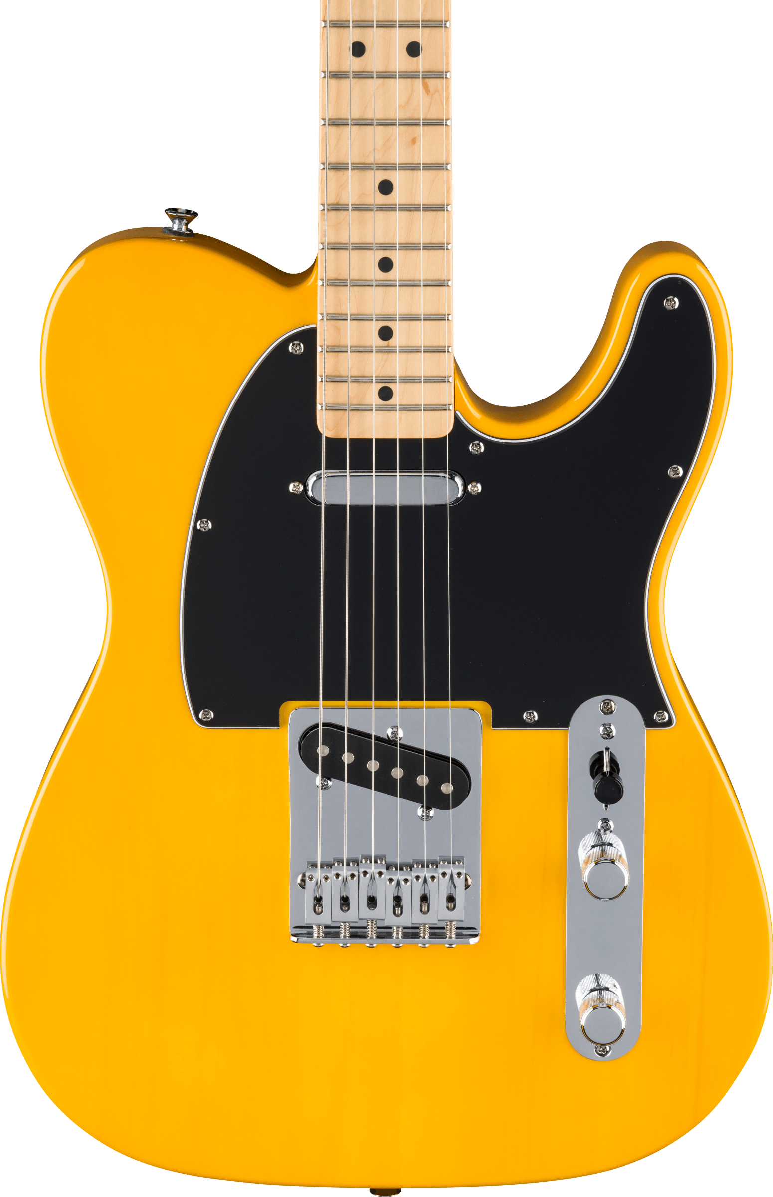 Fender Standard Telecaster, Maple , Butterscotch Blonde - Metronome Music Inc.