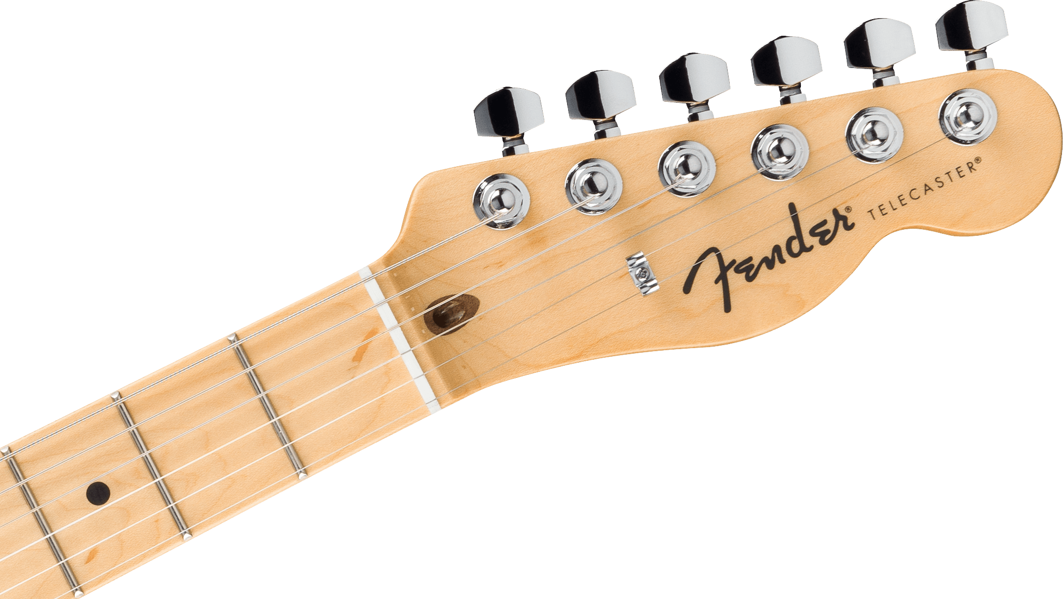 Fender Standard Telecaster, Maple , Butterscotch Blonde - Metronome Music Inc.