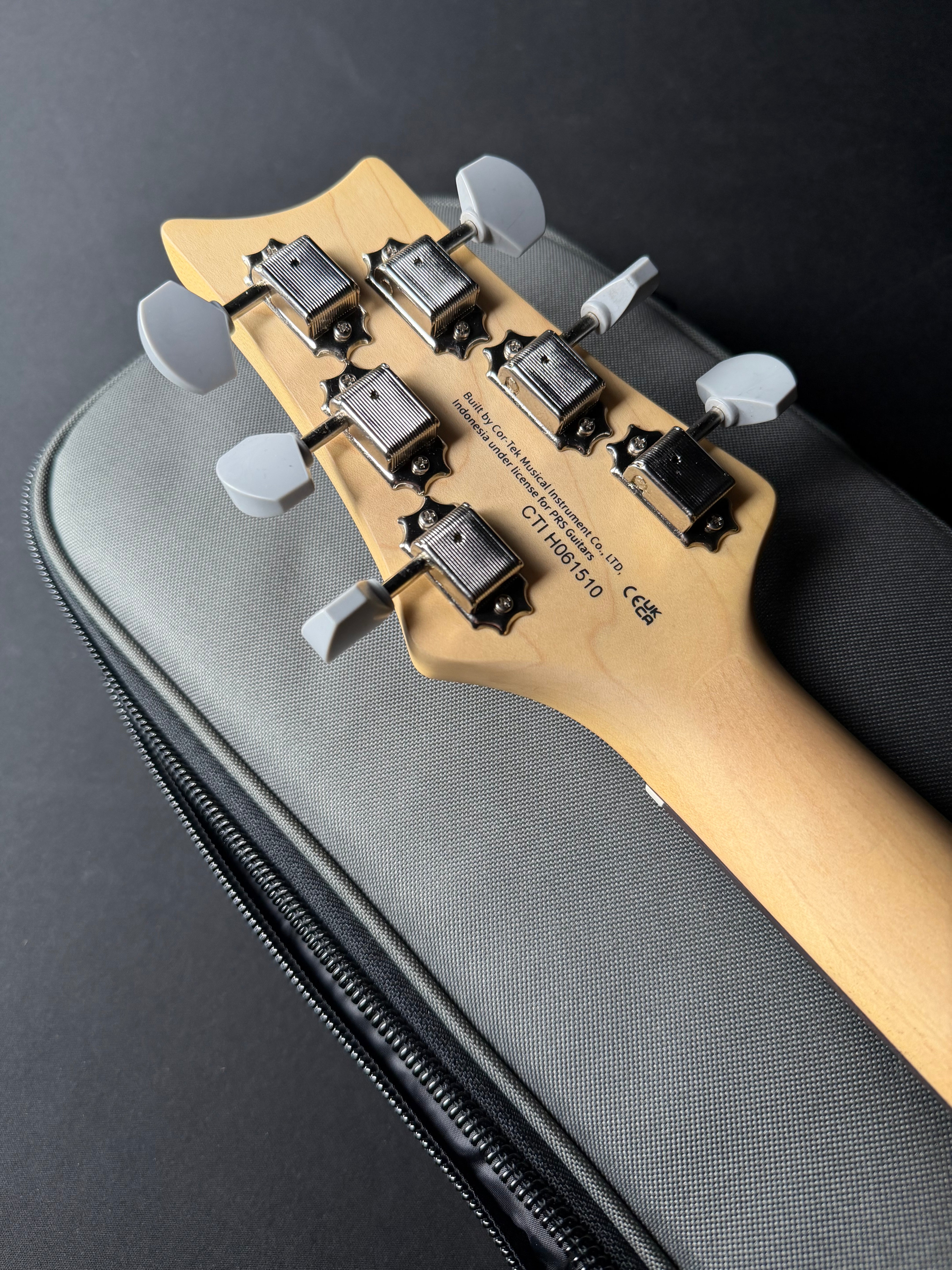 PRS SE Silver Sky with Rosewood Fingerboard - Dany Lion - Metronome Music Inc.