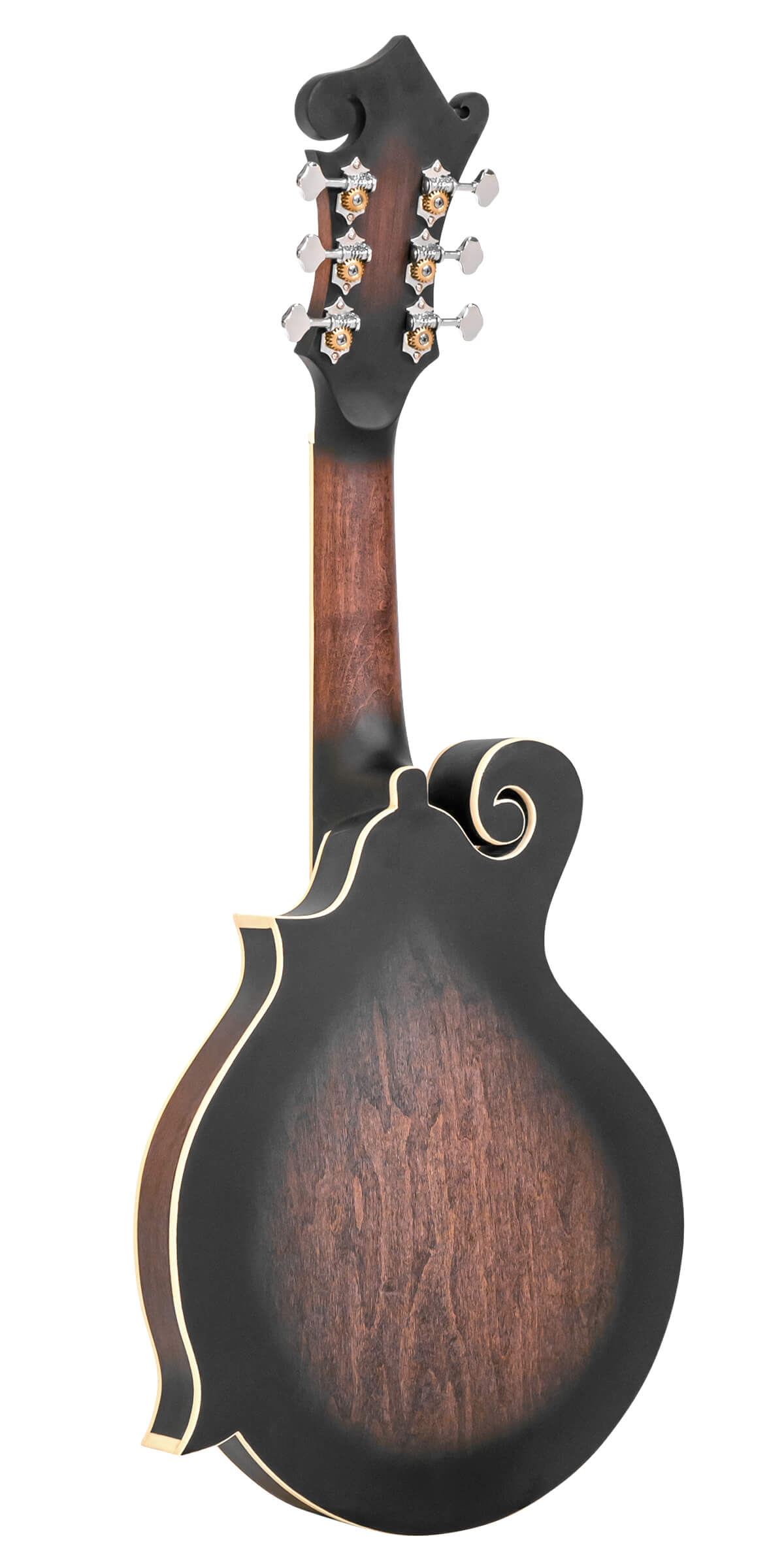 Gold Tone F-6: F-style Mando-Guitar w/Pickup & Case - Metronome Music Inc.