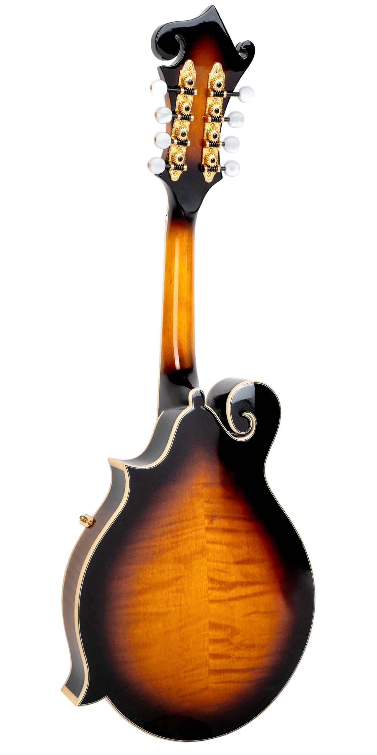 Gold Tone Mastertone GM-70+: F-Style Mandolin w/ Case - Metronome Music Inc.