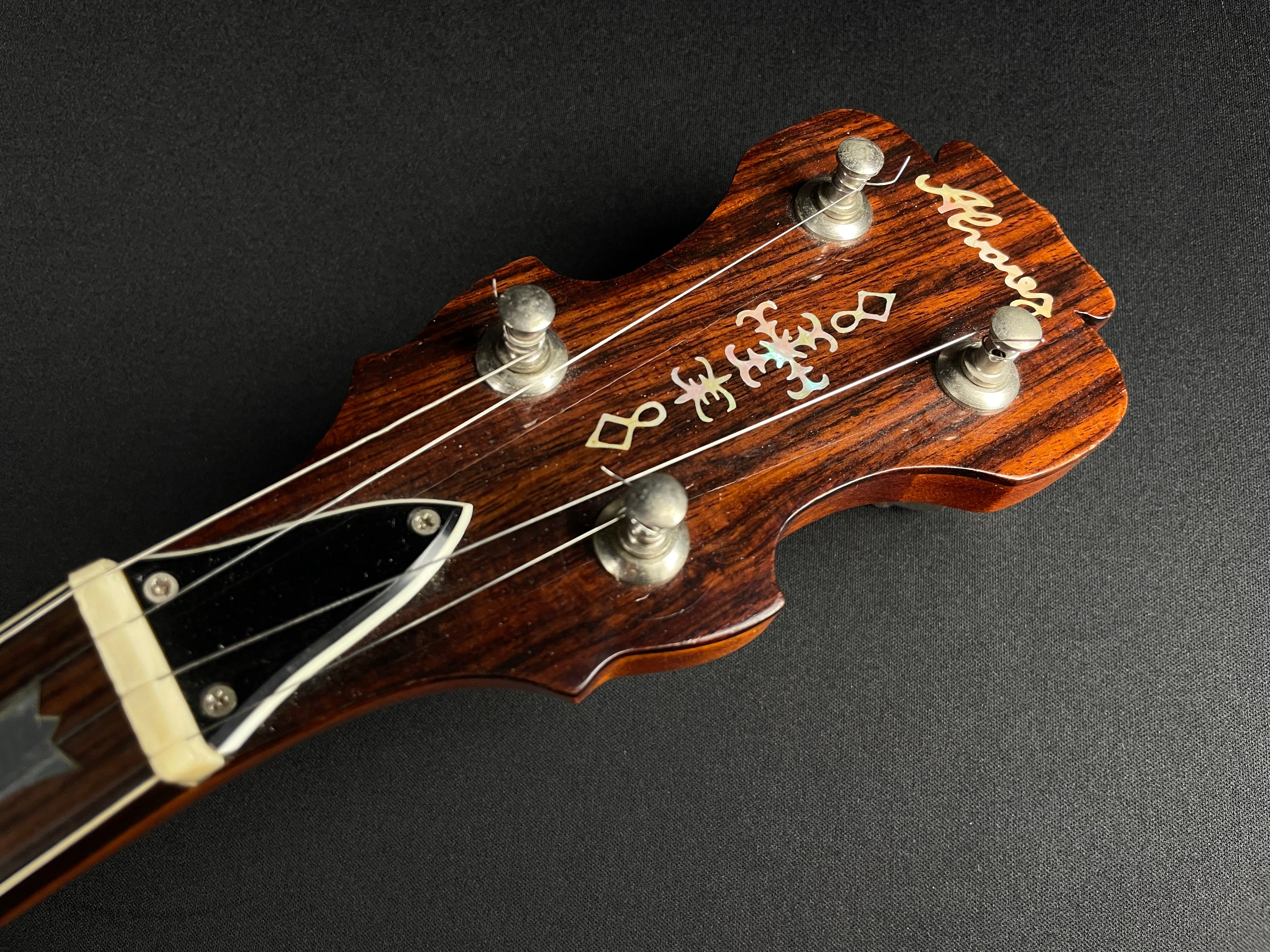 Alvarez Minstrel 4289 5-String Banjo w/OHSC (1970s) - Metronome Music Inc.