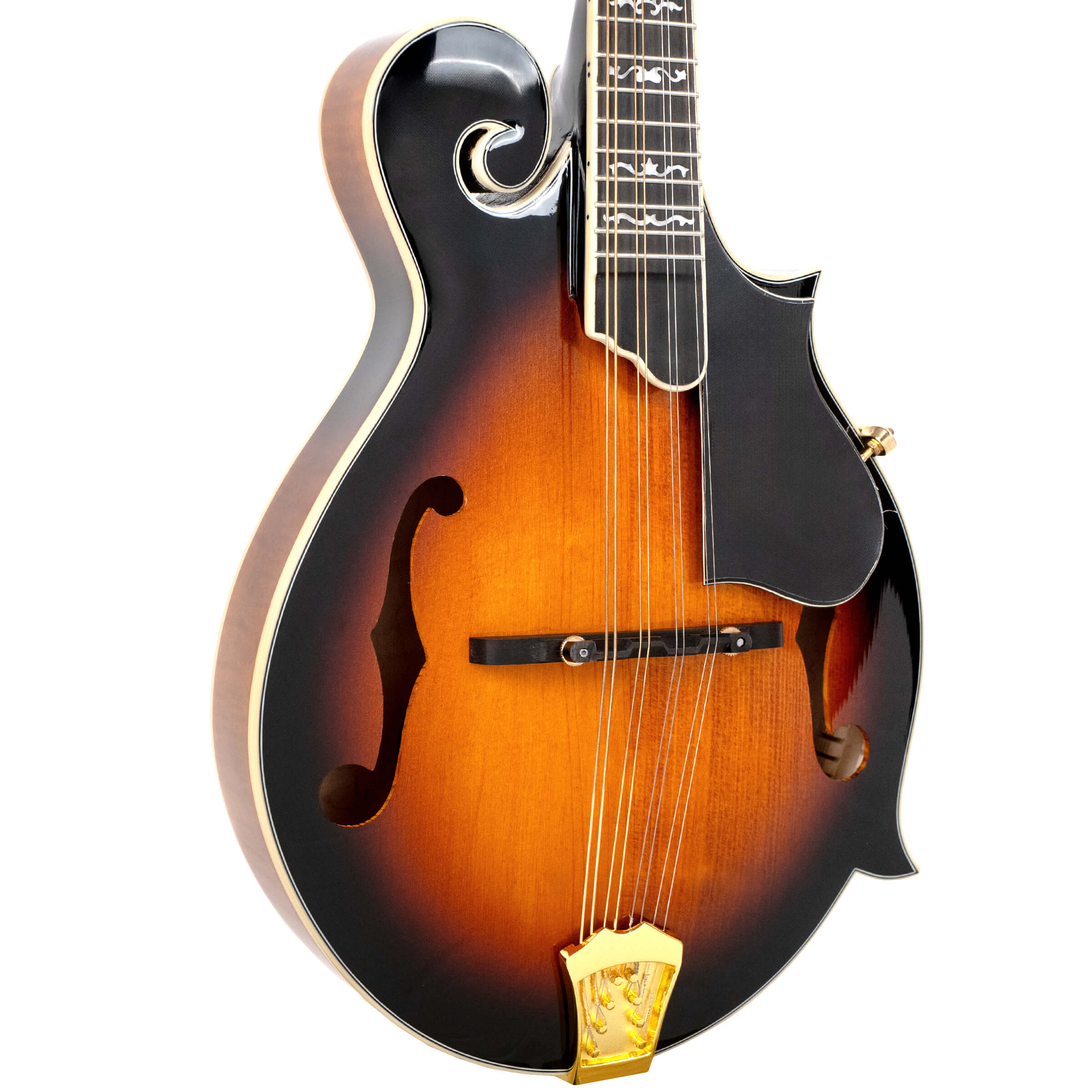 Gold Tone Mastertone GM-70+: F-Style Mandolin w/ Case - Metronome Music Inc.