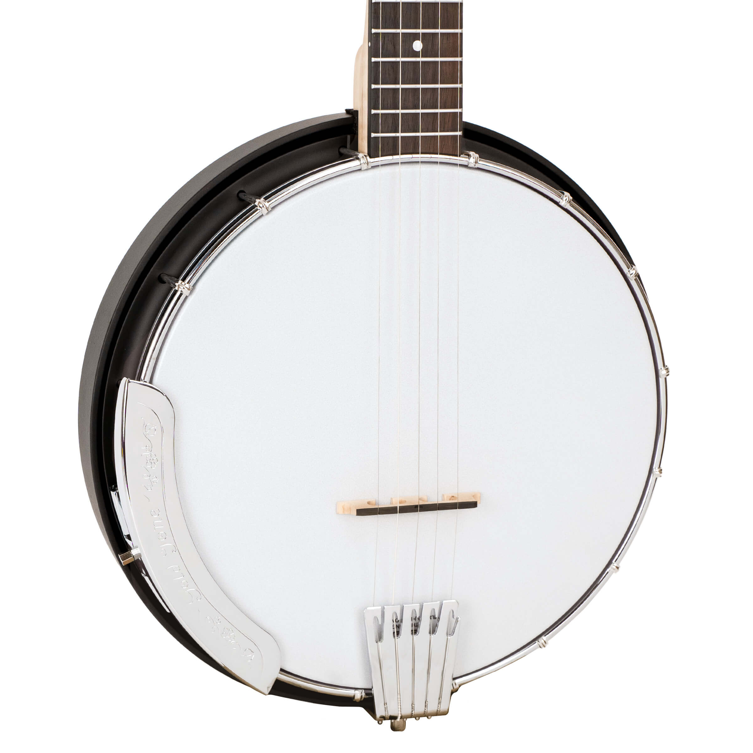 Gold Tone AC-5: Acoustic Composite 5-String Banjo w/Gig Bag - Metronome Music Inc.