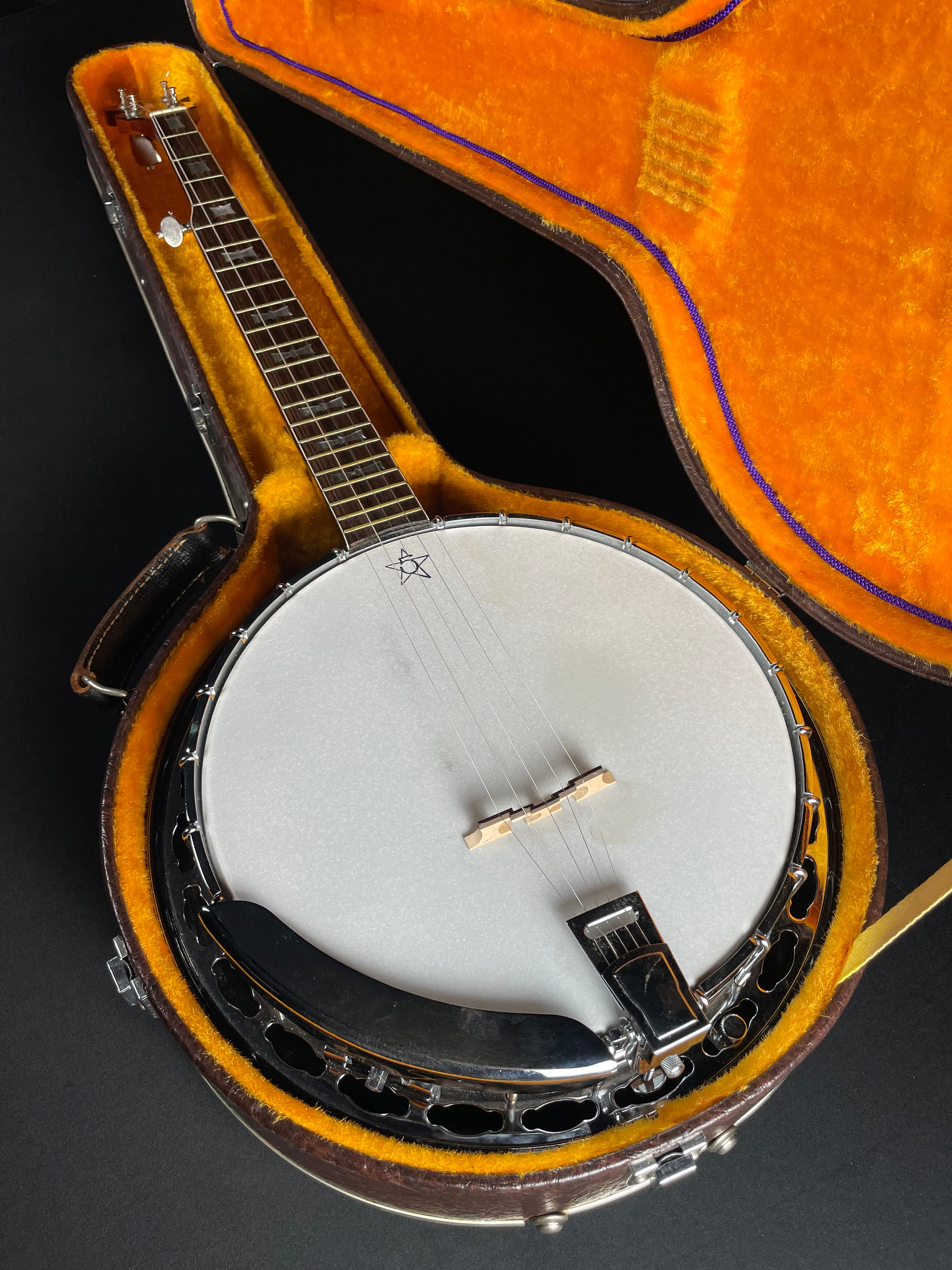Alvarez Minstrel 4289 5-String Banjo w/OHSC (1970s) - Metronome Music Inc.