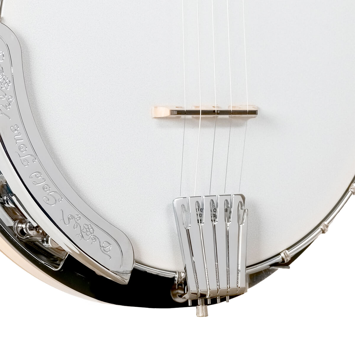 Gold Tone CC-100R: Cripple Creek Resonator 5-String Banjo w/ Gig Bag - Metronome Music Inc.