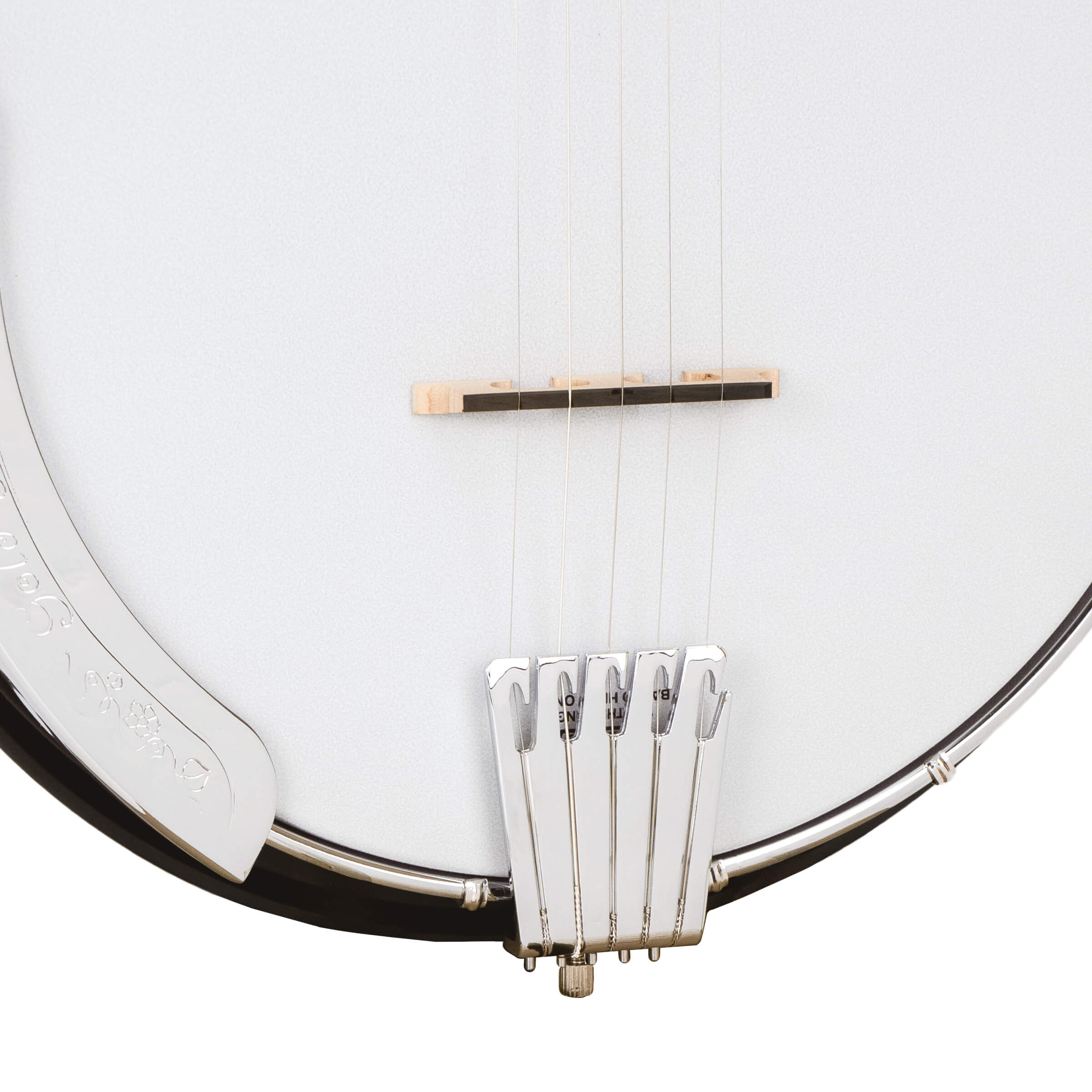 Gold Tone AC-5: Acoustic Composite 5-String Banjo w/Gig Bag - Metronome Music Inc.