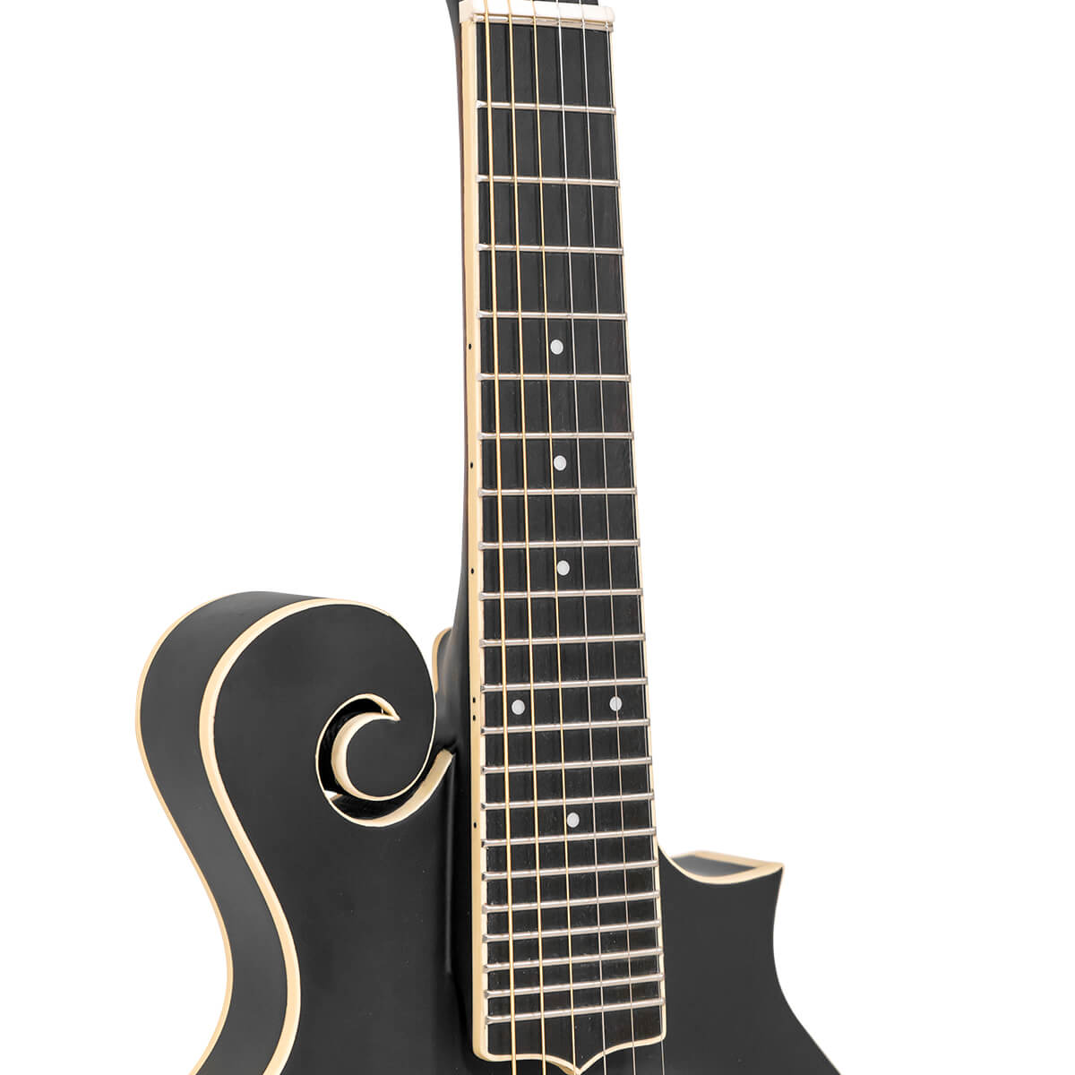 Gold Tone F-6: F-style Mando-Guitar w/Pickup & Case - Metronome Music Inc.