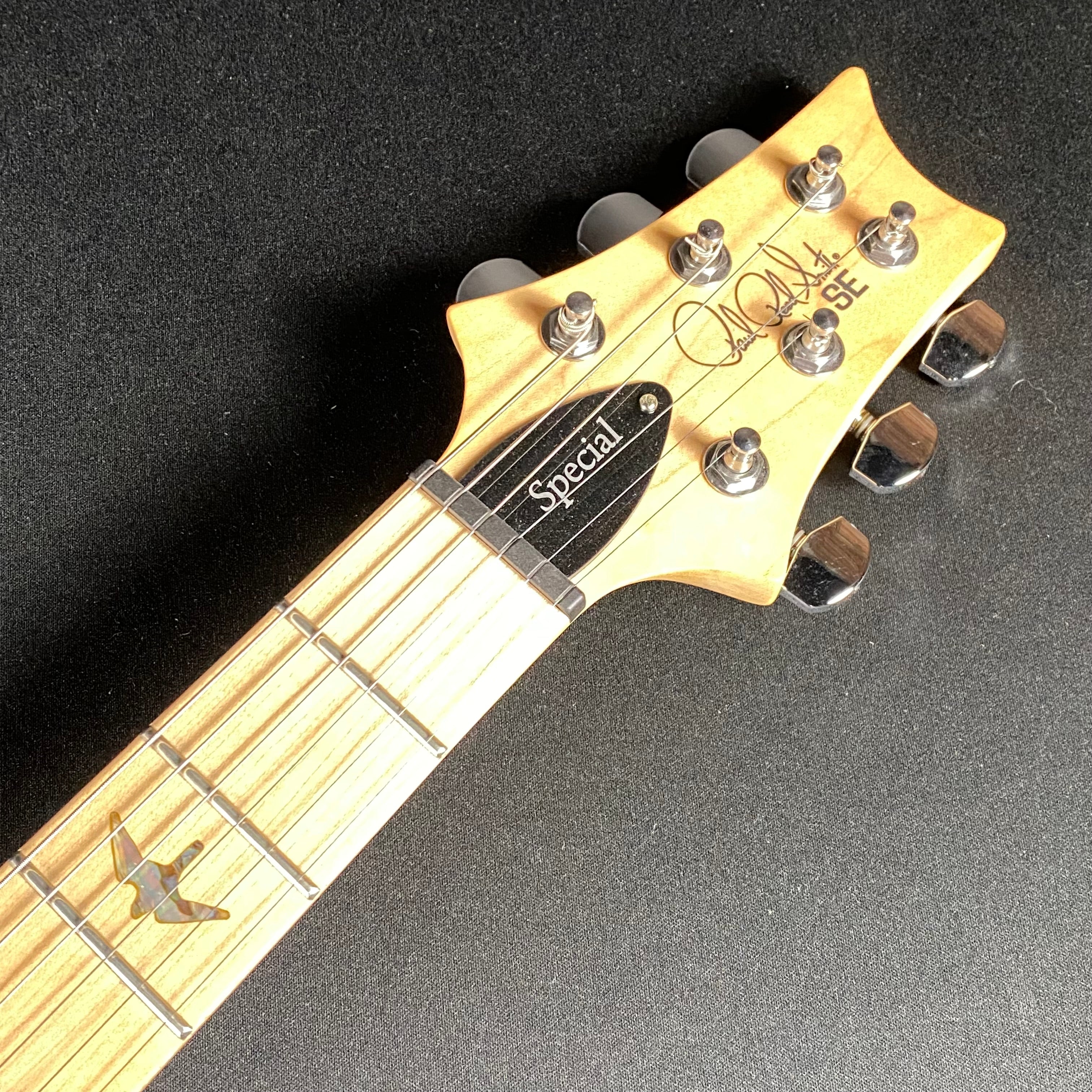 PRS SE Swamp Ash Special Electric Guitar - Charcoal (SALE) - Metronome Music Inc.