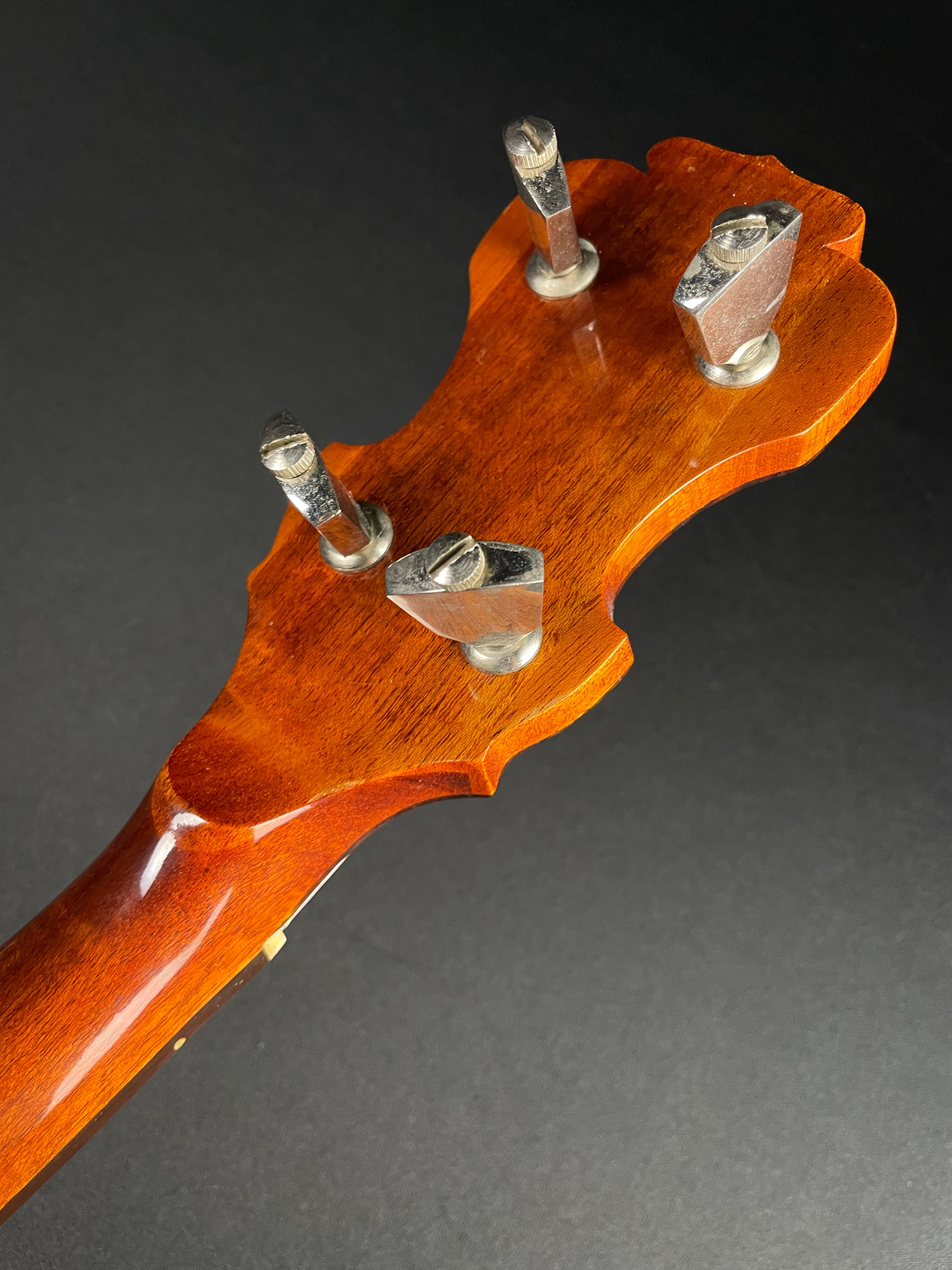 Alvarez Minstrel 4289 5-String Banjo w/OHSC (1970s) - Metronome Music Inc.