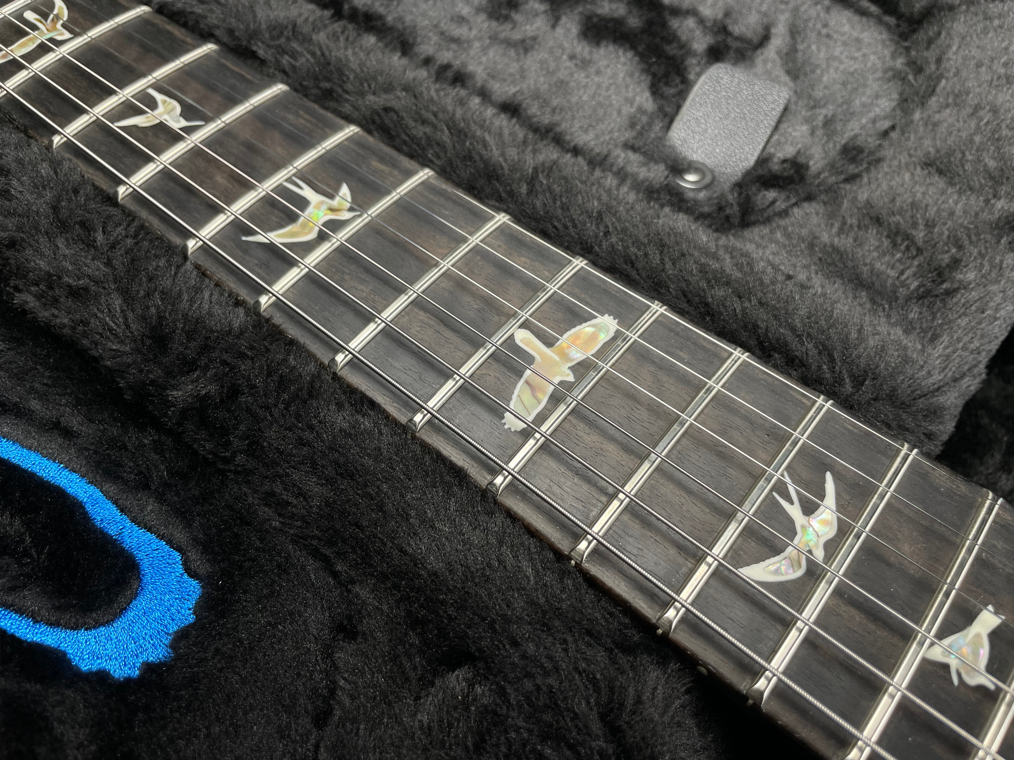 PRS Core Custom 24 "Floyd" Sprayer's Choice - Sparkle Back/Neck (SOLD)