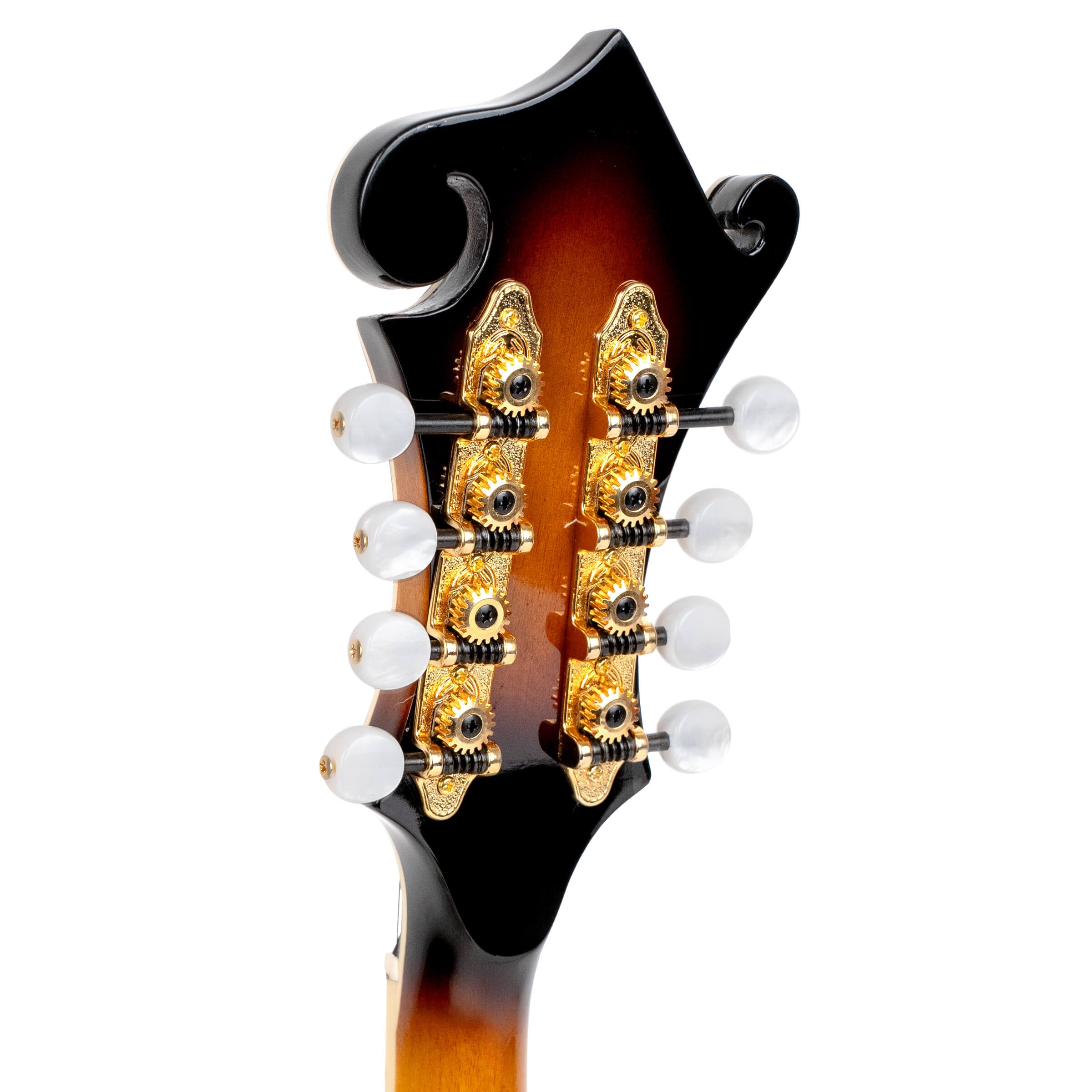 Gold Tone Mastertone GM-70+: F-Style Mandolin w/ Case - Metronome Music Inc.