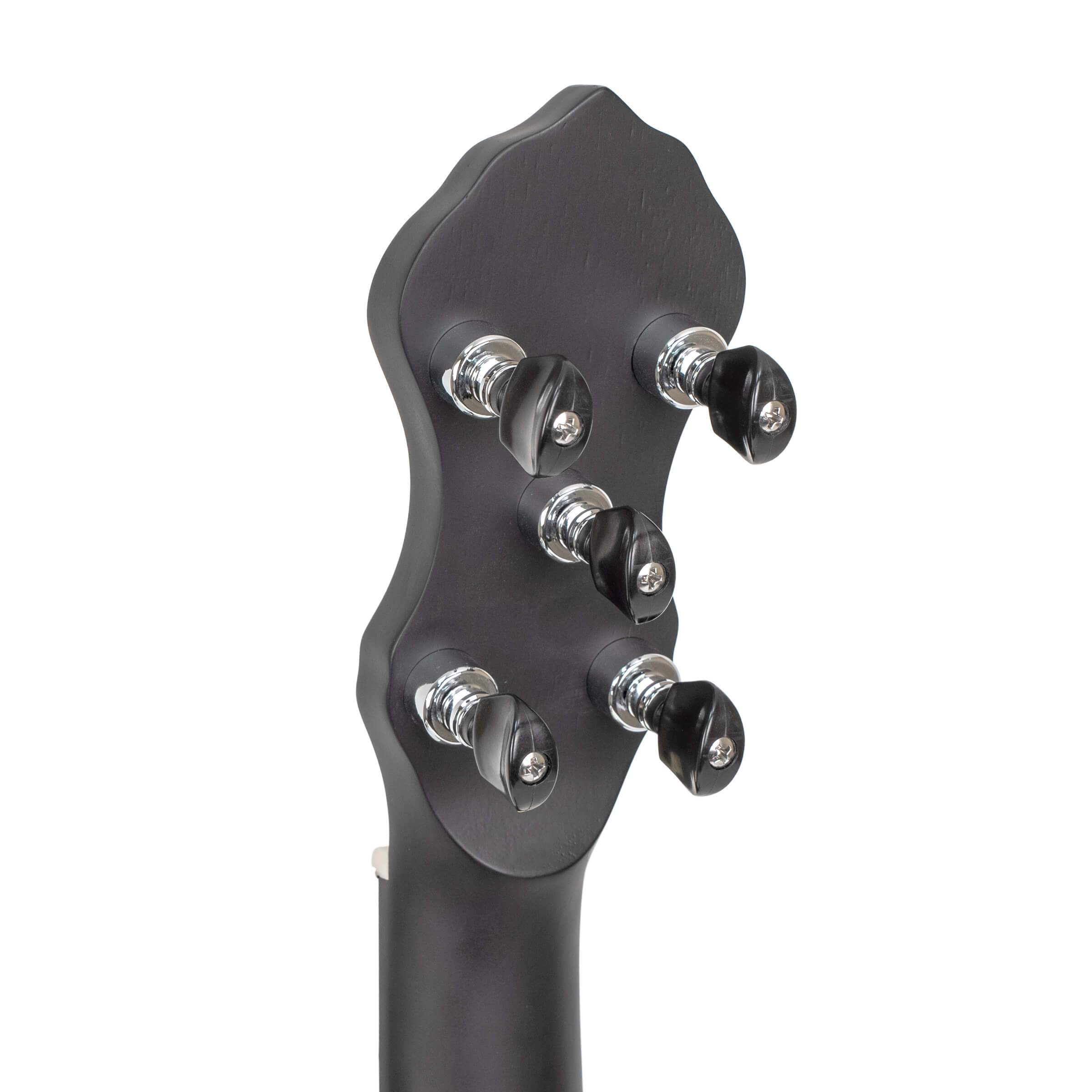 Gold Tone AC-5+1: Acoustic Composite 6-String Banjo w/ Gig Bag - Metronome Music Inc.