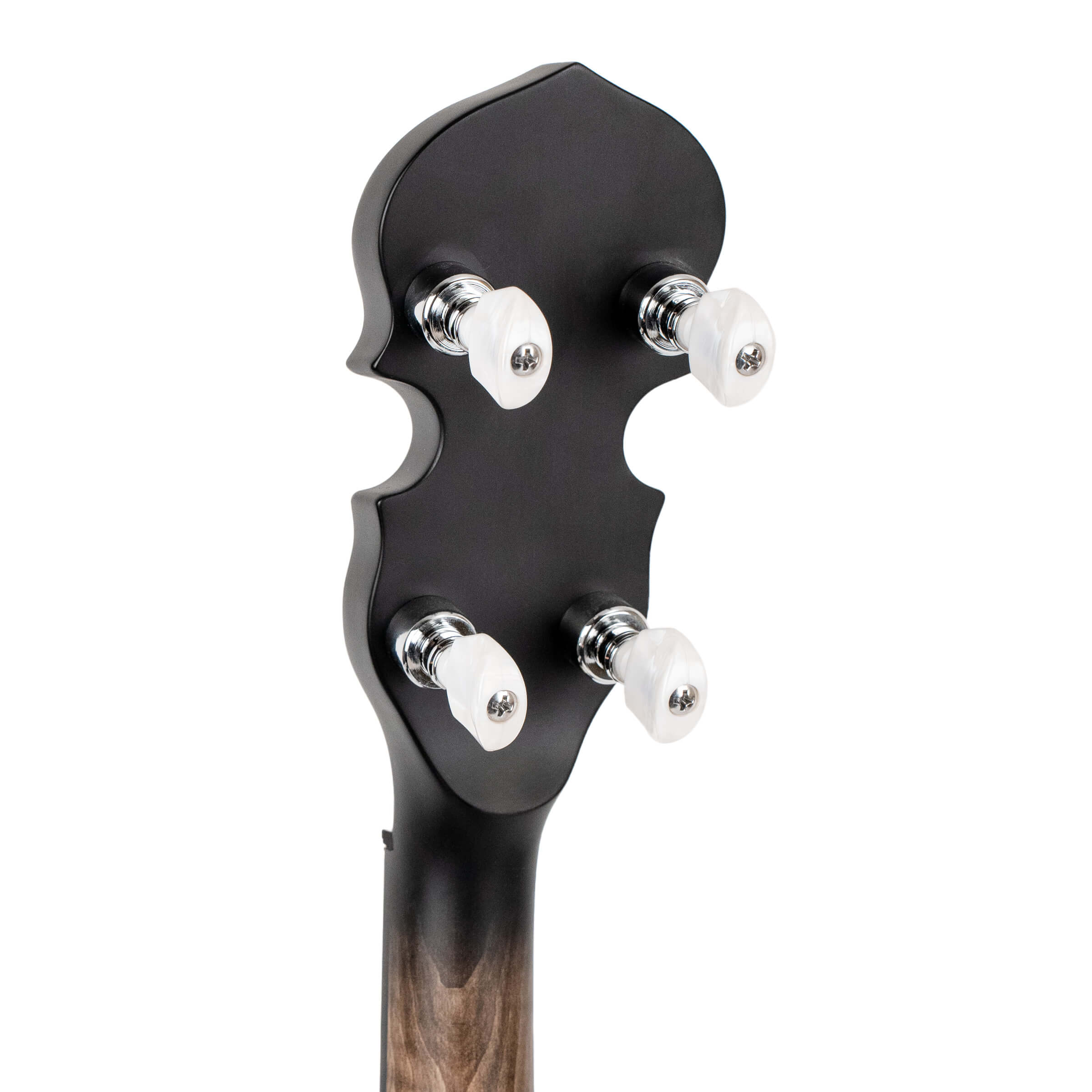 Gold Tone CC-50RP: Cripple Creek Resonator Banjo w/Planetary Tuners and Gig Bag - Metronome Music Inc.