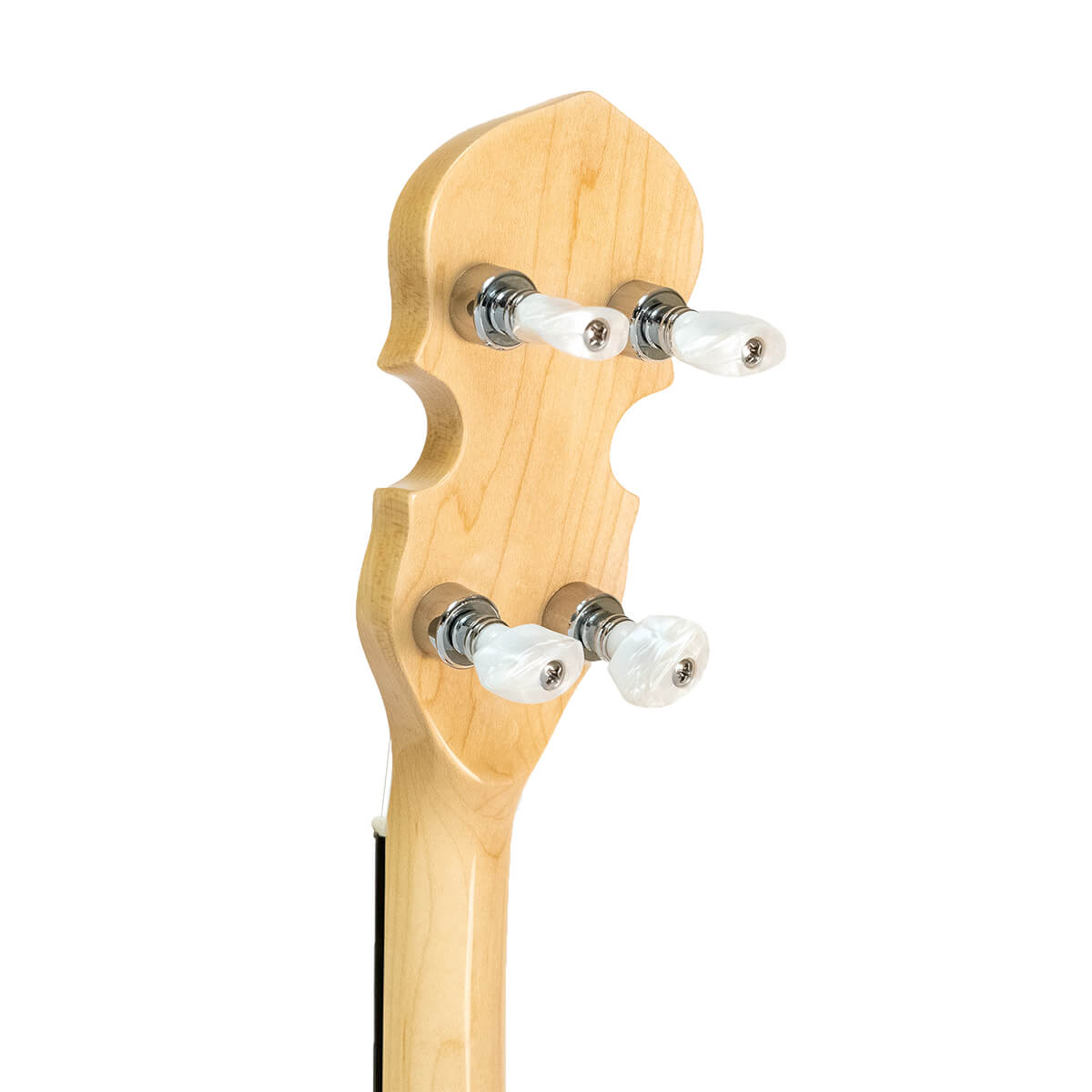 Gold Tone CC-100R: Cripple Creek Resonator 5-String Banjo w/ Gig Bag - Metronome Music Inc.