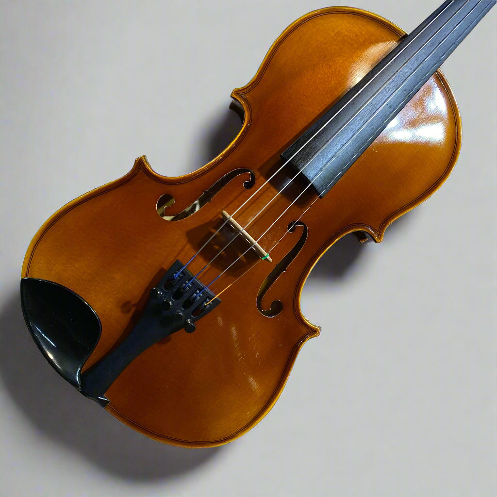 Core Academy 1/2 Violin with case (USED) - Metronome Music Inc.
