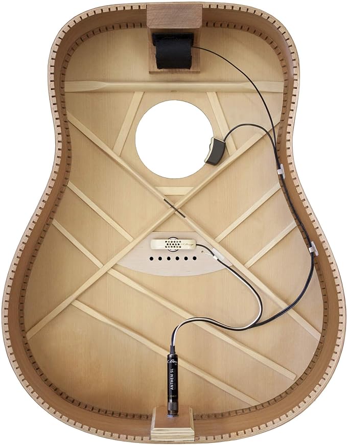 L.R. Baggs Anthem-SL Acoustic Guitar Pickup and Microphone - Metronome Music Inc.