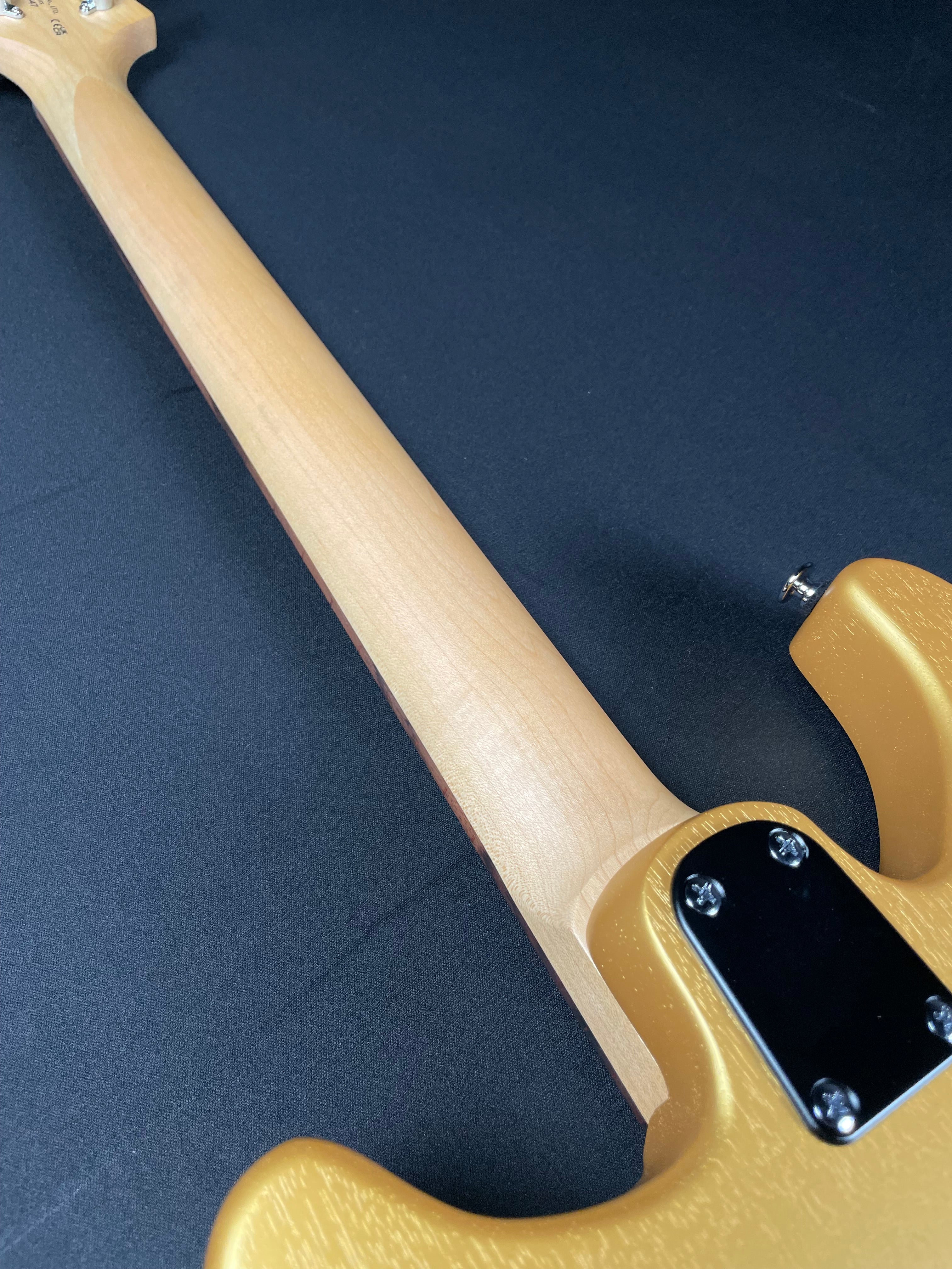 PRS SE CE 24 Standard w/Gig Bag - Metallic Gold (2025)