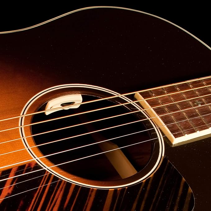 L.R. Baggs Anthem-SL Acoustic Guitar Pickup and Microphone - Metronome Music Inc.
