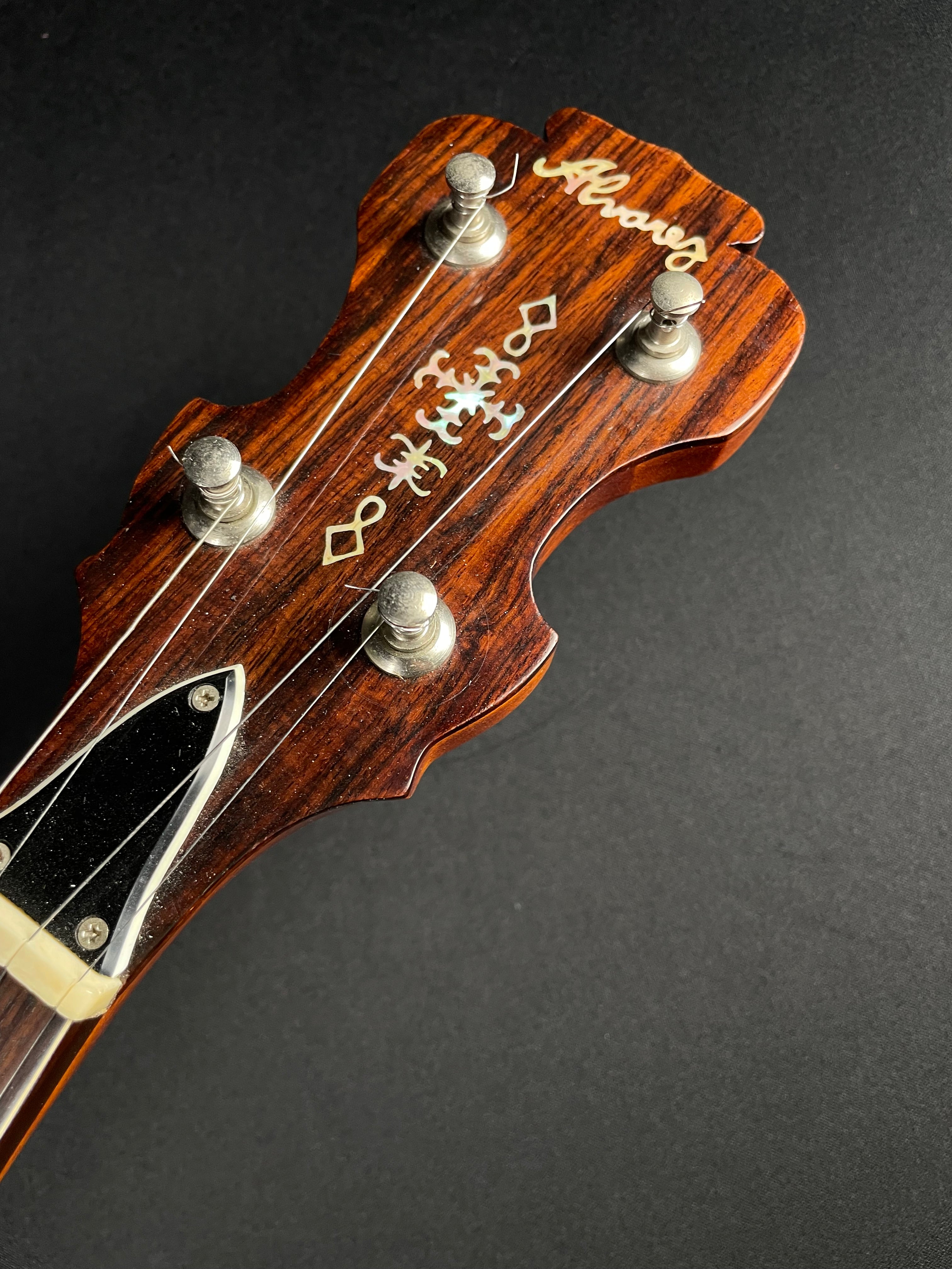 Alvarez Minstrel 4289 5-String Banjo w/OHSC (1970s) - Metronome Music Inc.