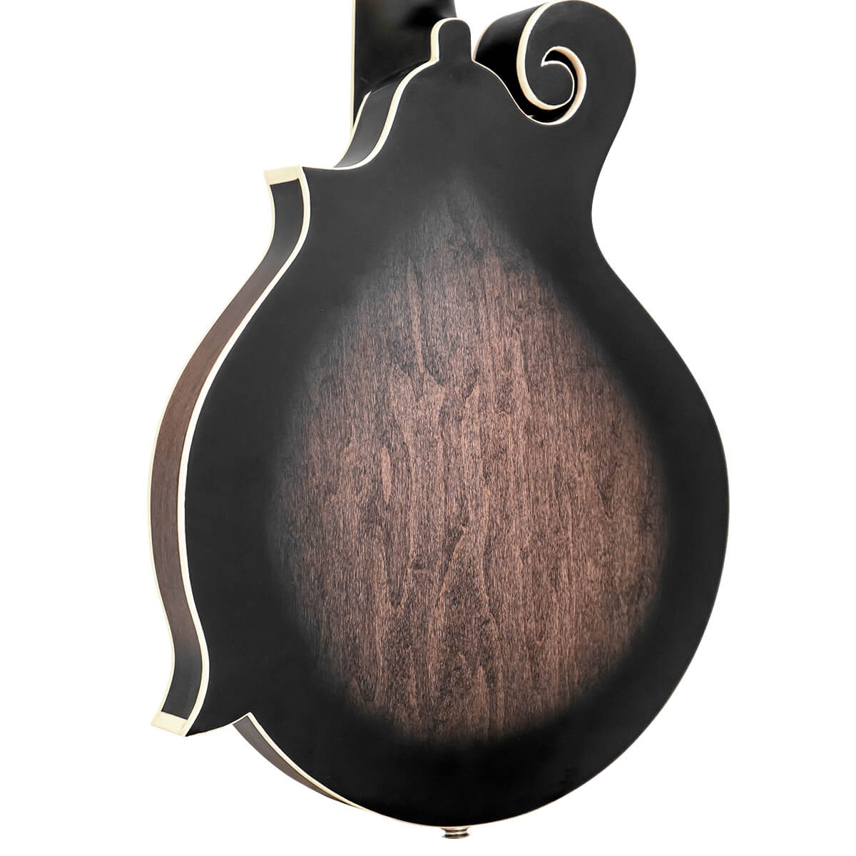 Gold Tone F-6: F-style Mando-Guitar w/Pickup & Case - Metronome Music Inc.