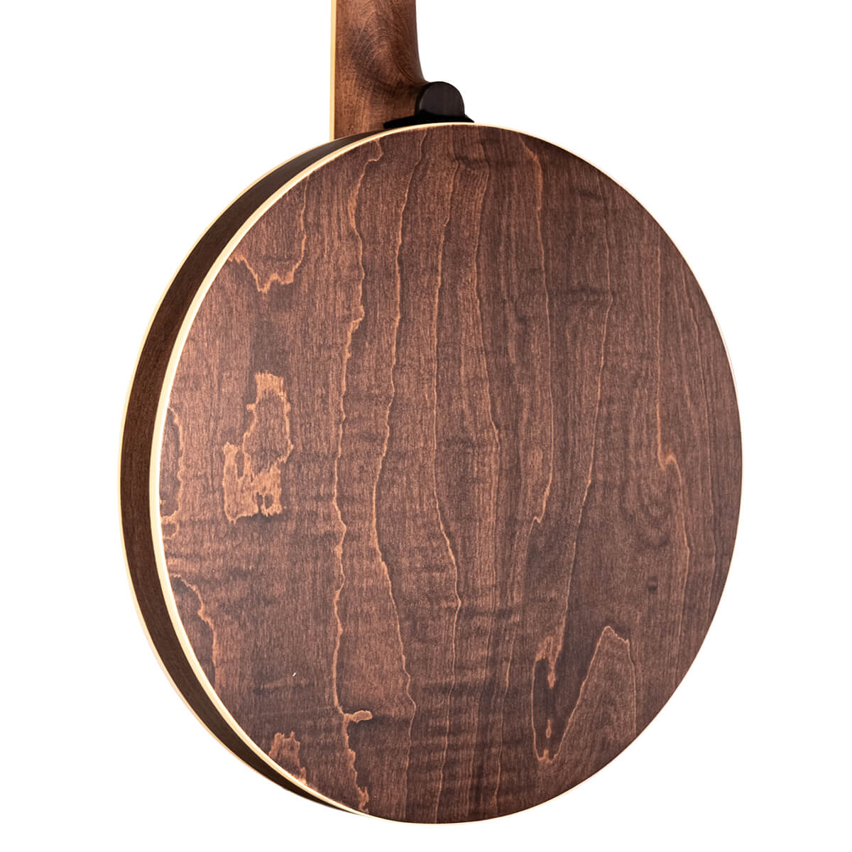 Gold Tone OB-150: Orange Blossom 5-String Banjo w/ Case - Metronome Music Inc.