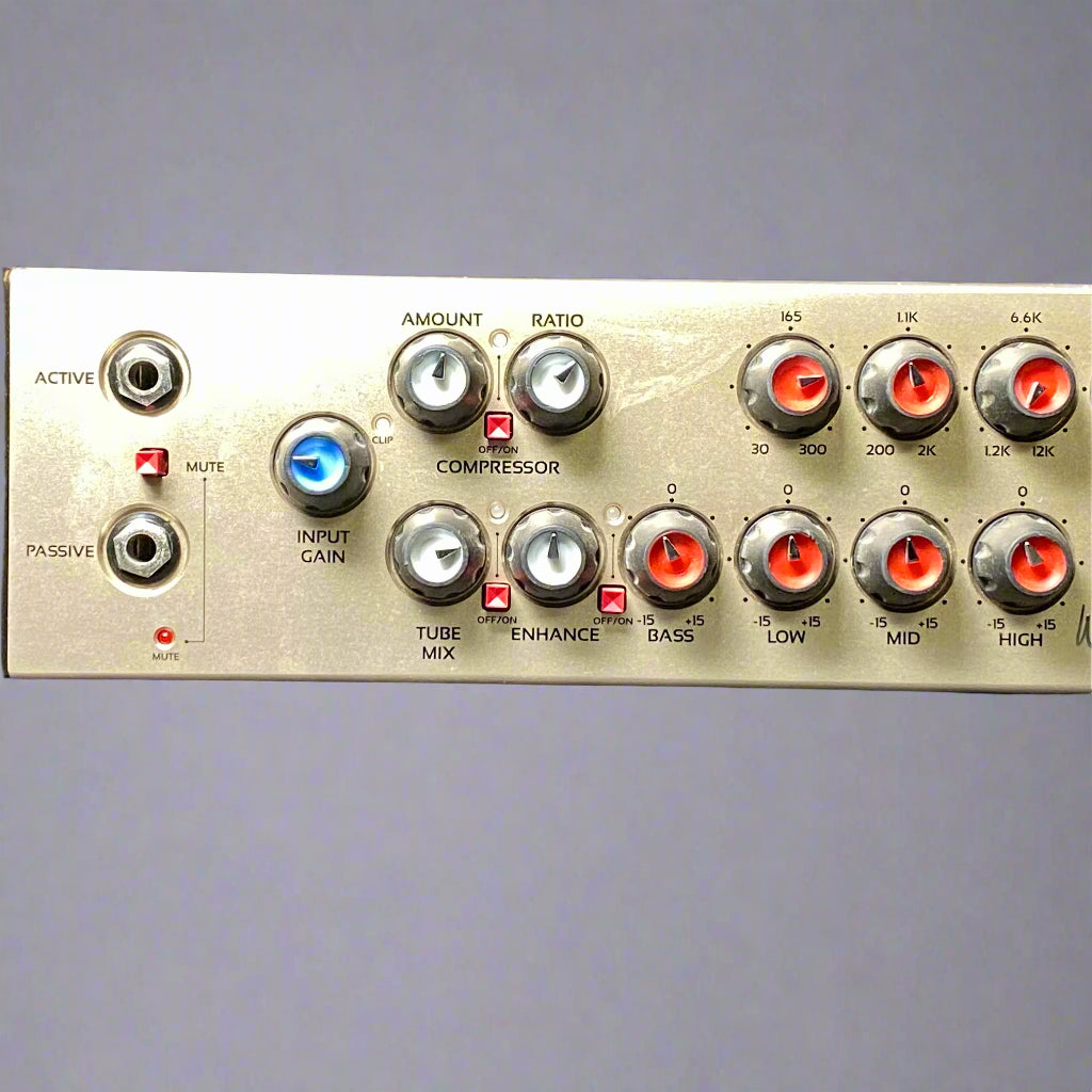 Eden World Tour Pro 600 Rack Bass Amp (Used) - Metronome Music Inc.