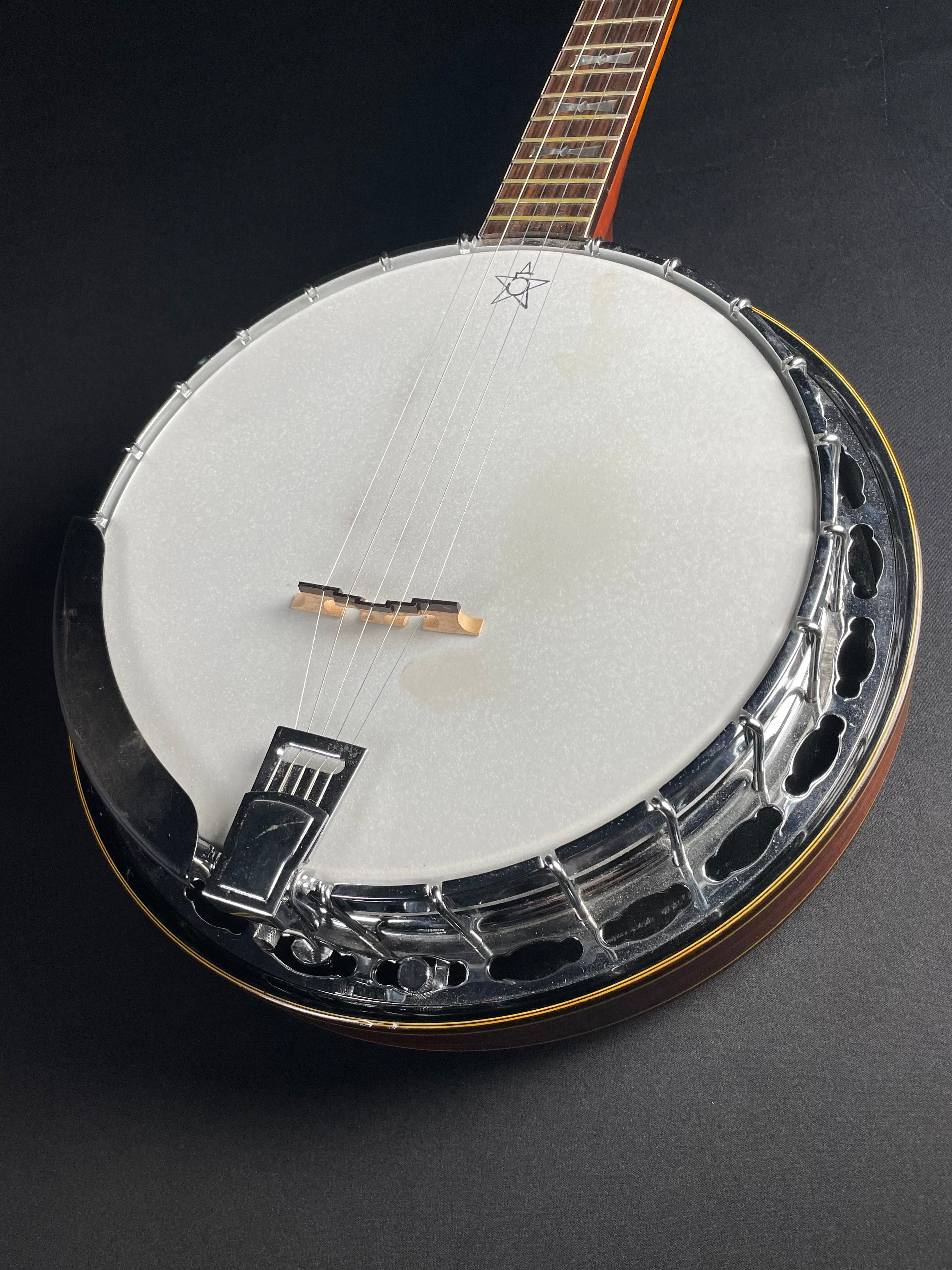 Alvarez Minstrel 4289 5-String Banjo w/OHSC (1970s) - Metronome Music Inc.