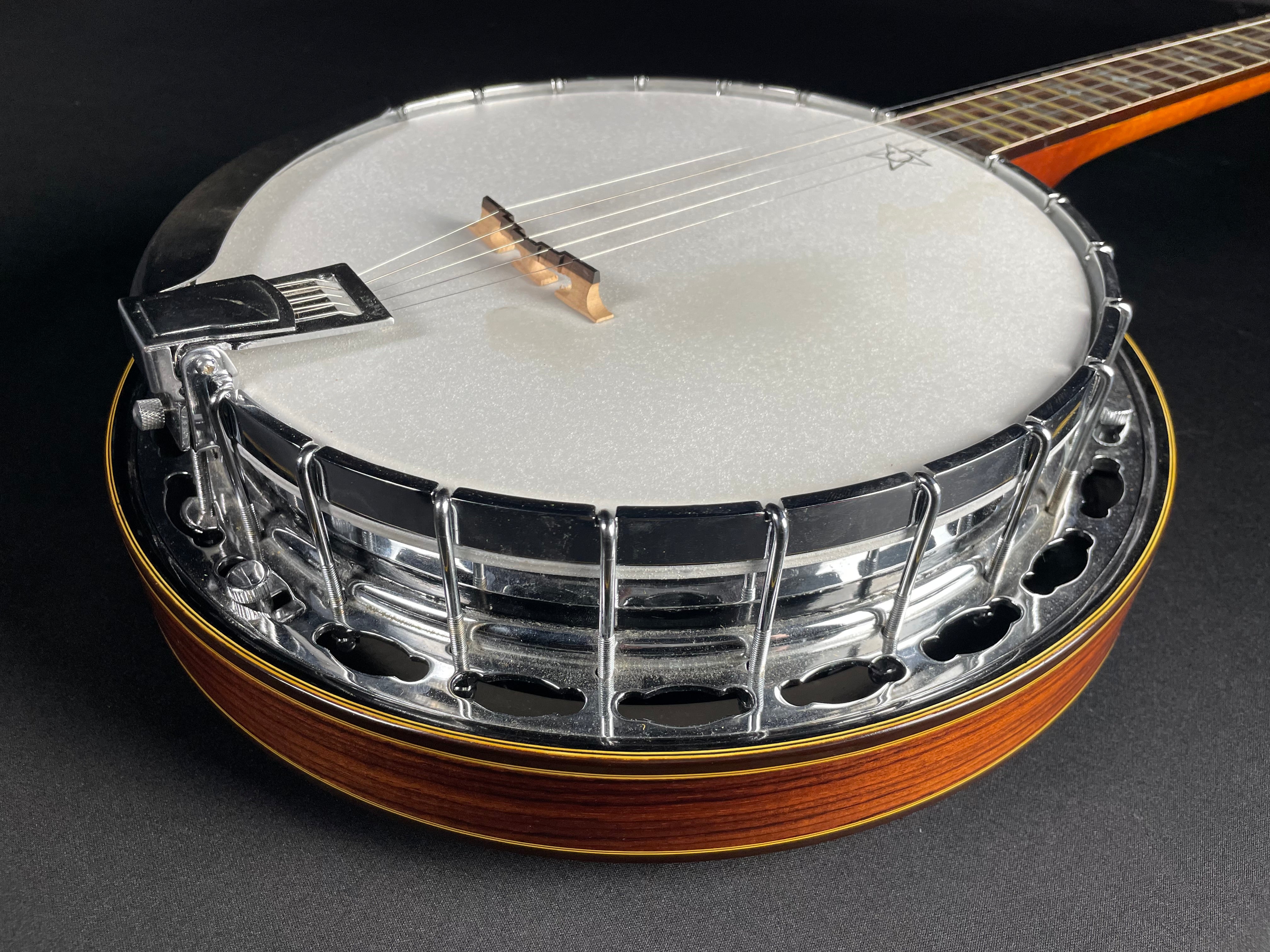 Alvarez Minstrel 4289 5-String Banjo w/OHSC (1970s) - Metronome Music Inc.