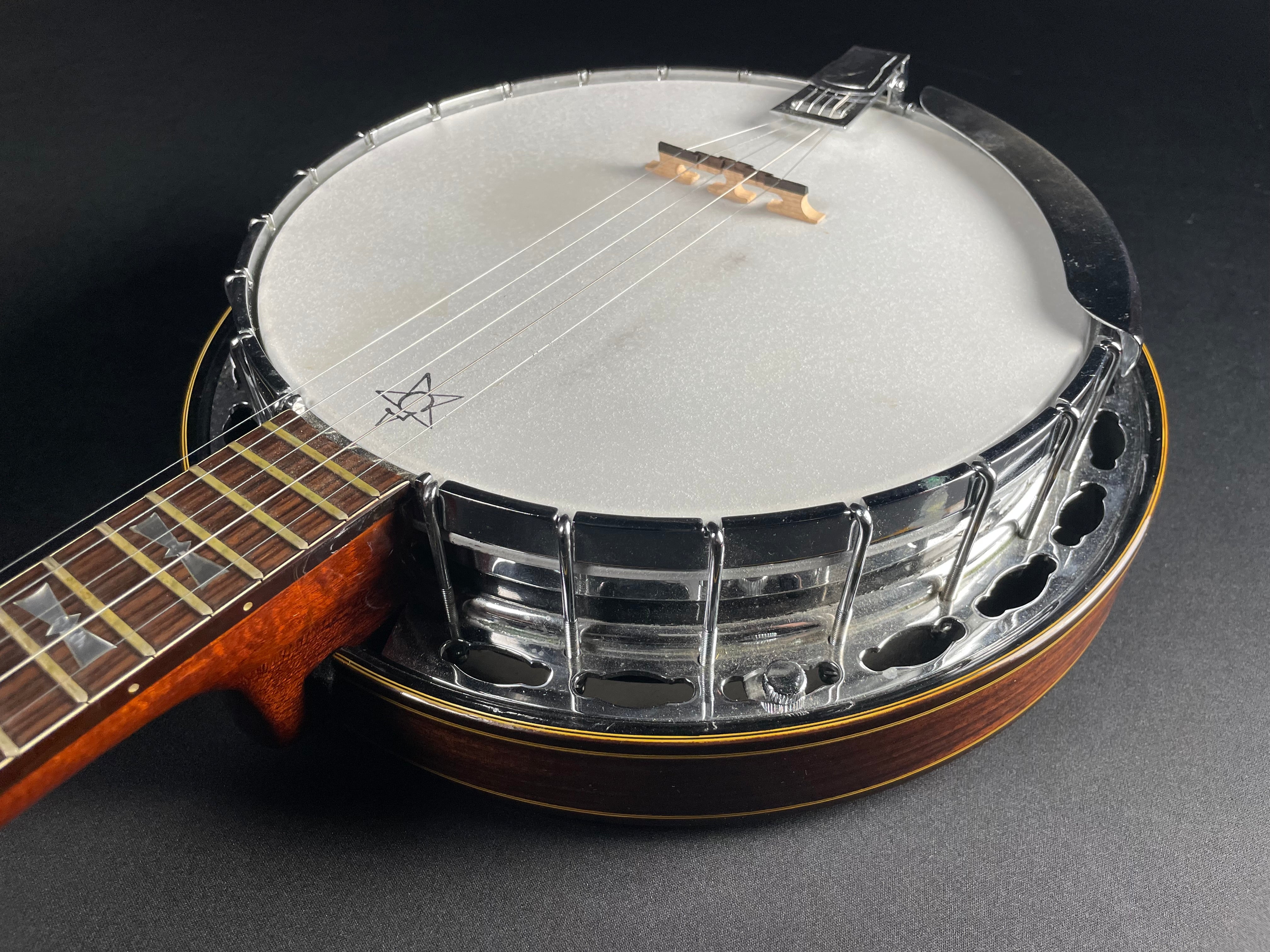 Alvarez Minstrel 4289 5-String Banjo w/OHSC (1970s) - Metronome Music Inc.