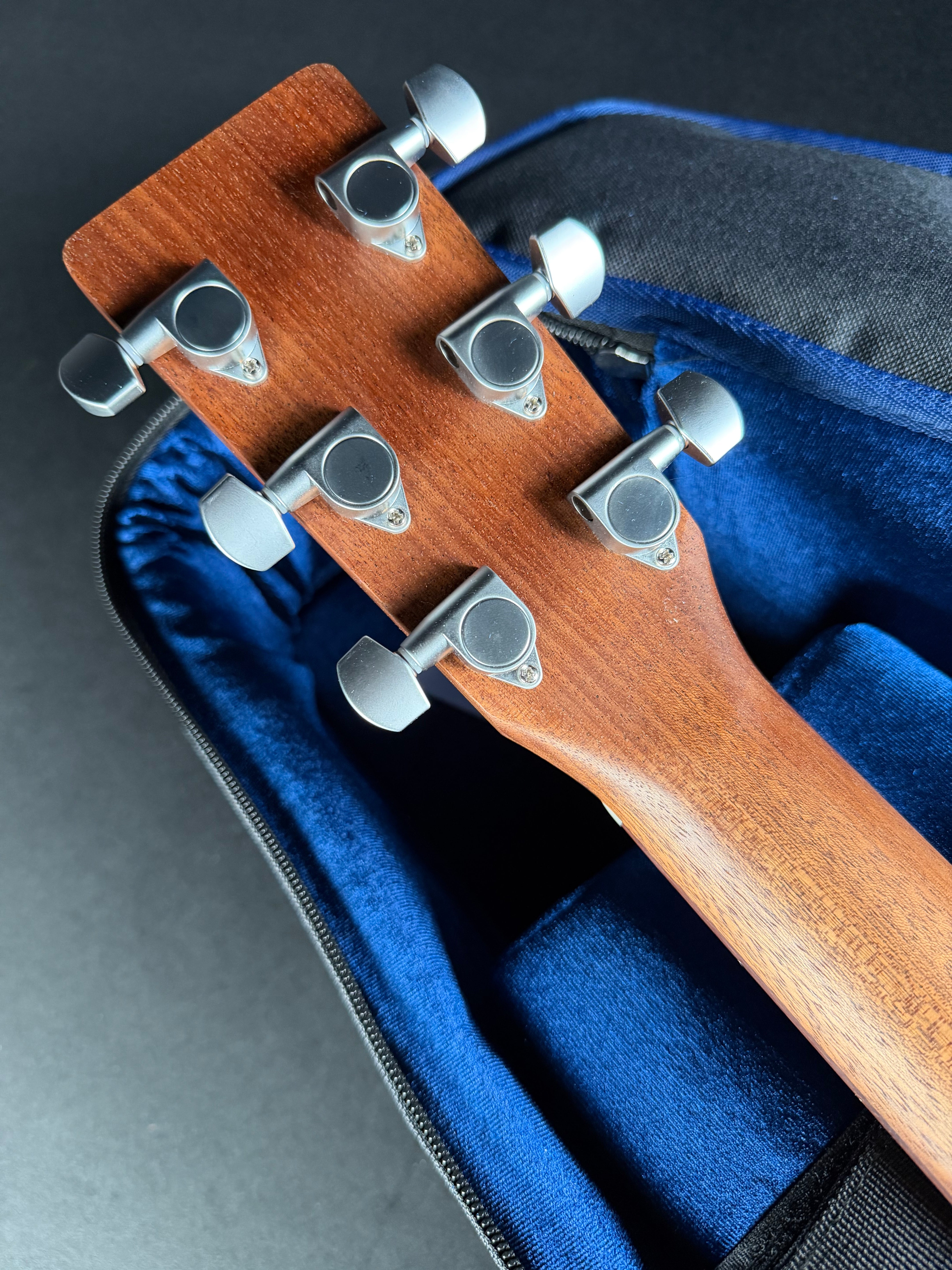 Martin GPC-X2E w/Soft Case Cocobolo - Metronome Music Inc.