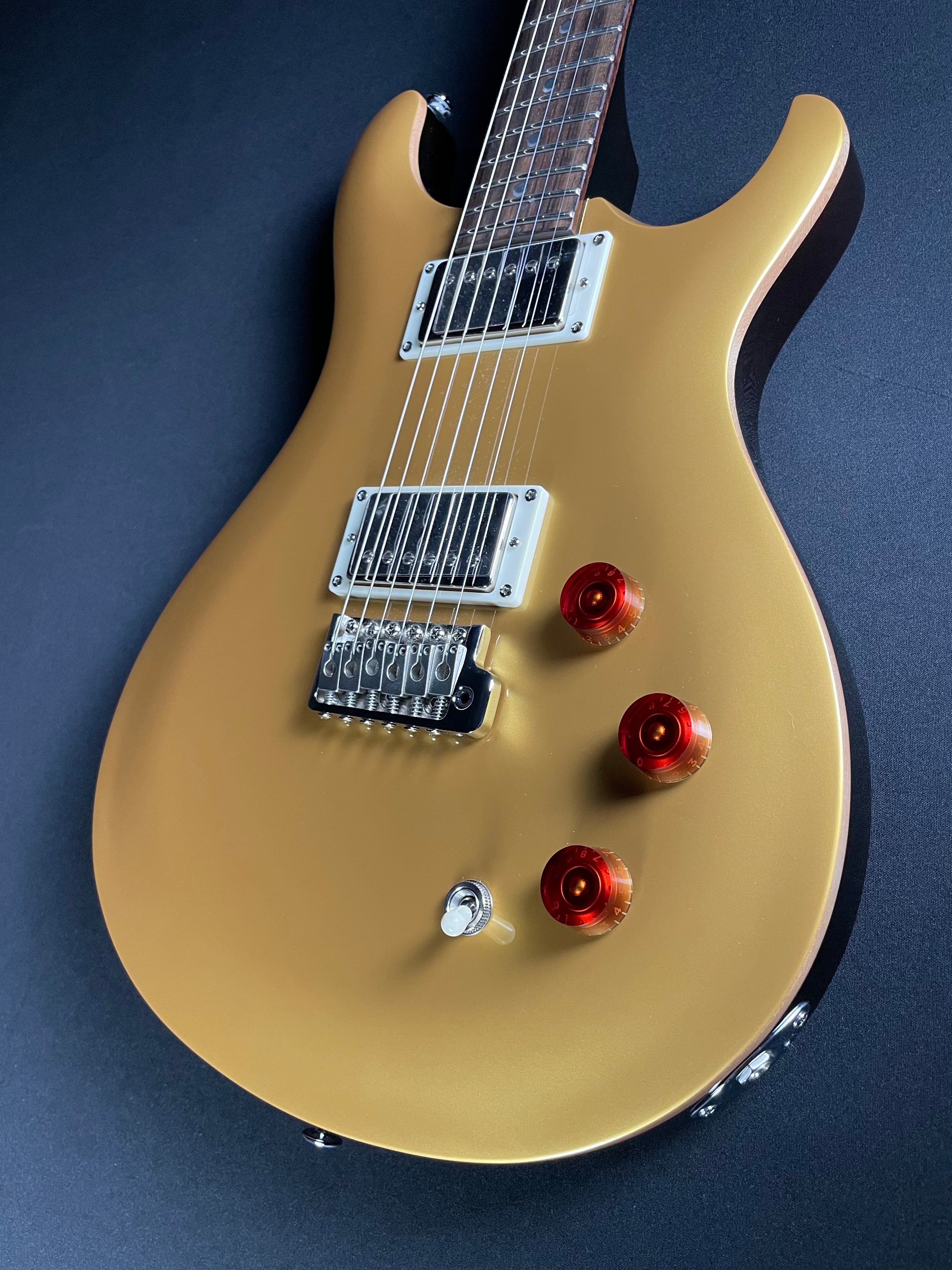 PRS SE DGT David Grissom Signature w/Gig Bag - Gold Top - Metronome Music Inc.