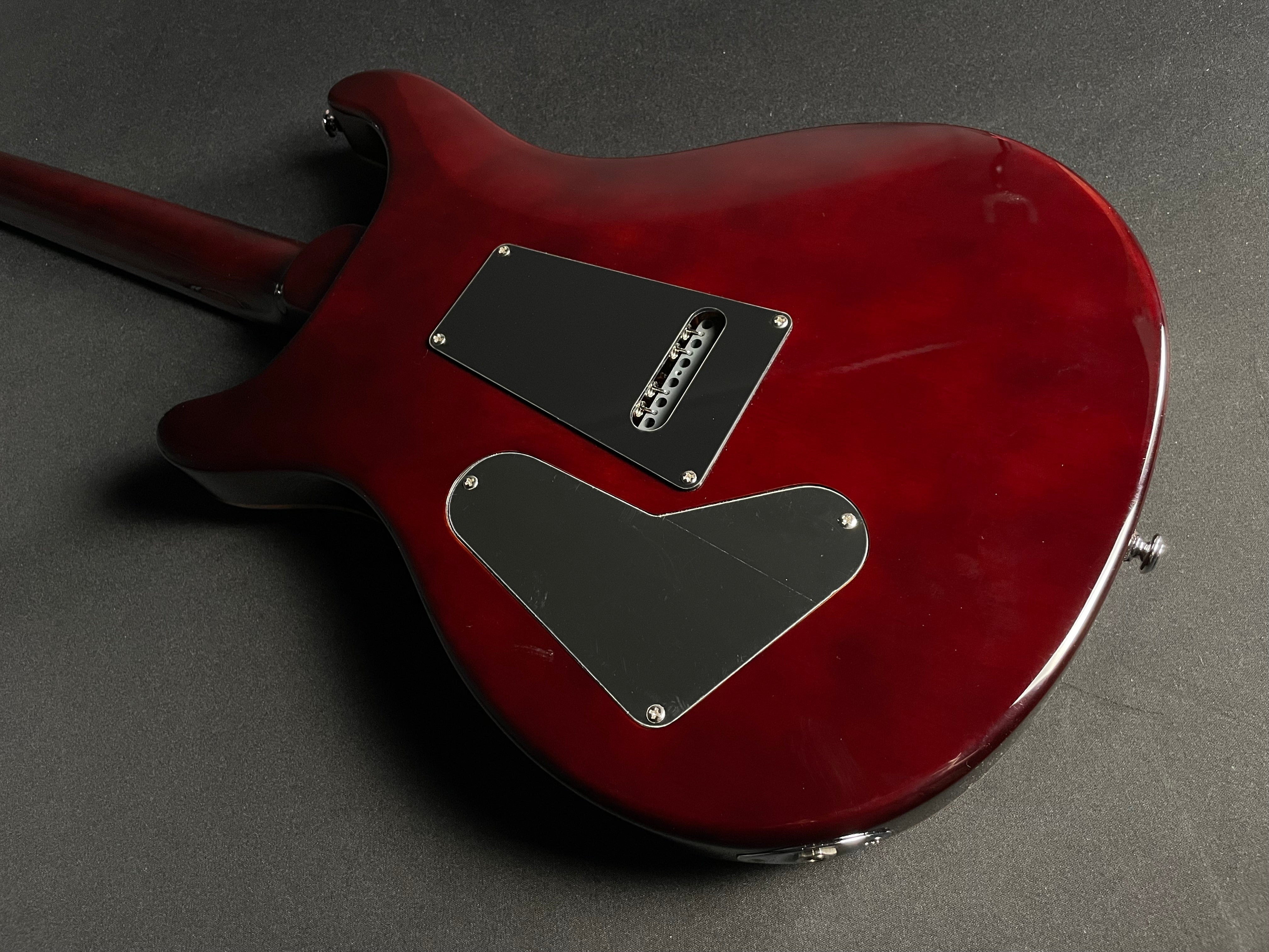 Paul Reed Smith PRS SE Custom 24 - Tobacco Sunburst (2012) - Metronome Music Inc.