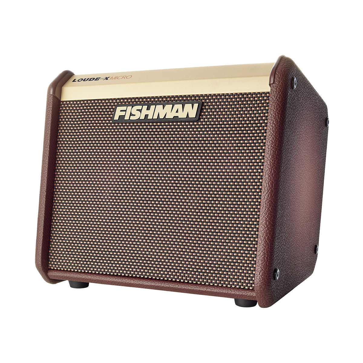 Fishman Loudbox Micro 40-watt 1 x 5.25-inch Acoustic Guitar Amplifier - Metronome Music Inc.