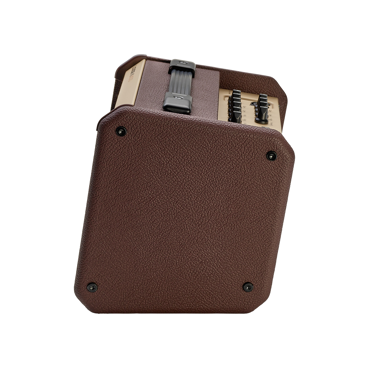 Fishman Loudbox Micro 40-watt 1 x 5.25-inch Acoustic Guitar Amplifier - Metronome Music Inc.