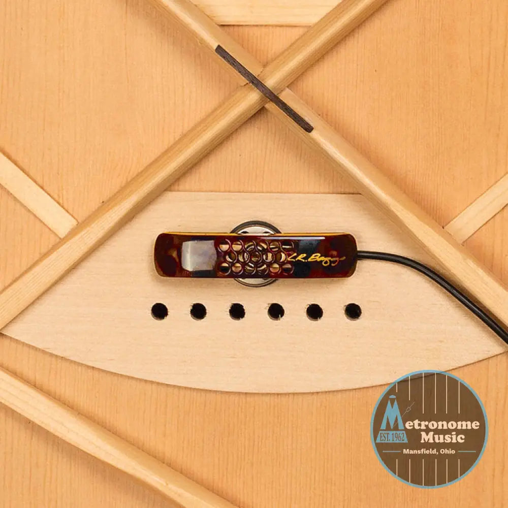 L.R. Baggs LYRIC Acoustic Guitar Microphone - Metronome Music Inc.