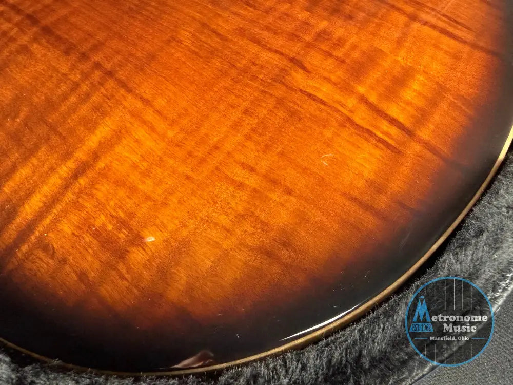 PRS SE Hollowbody Piezo w/OHSC (Used) - Metronome Music