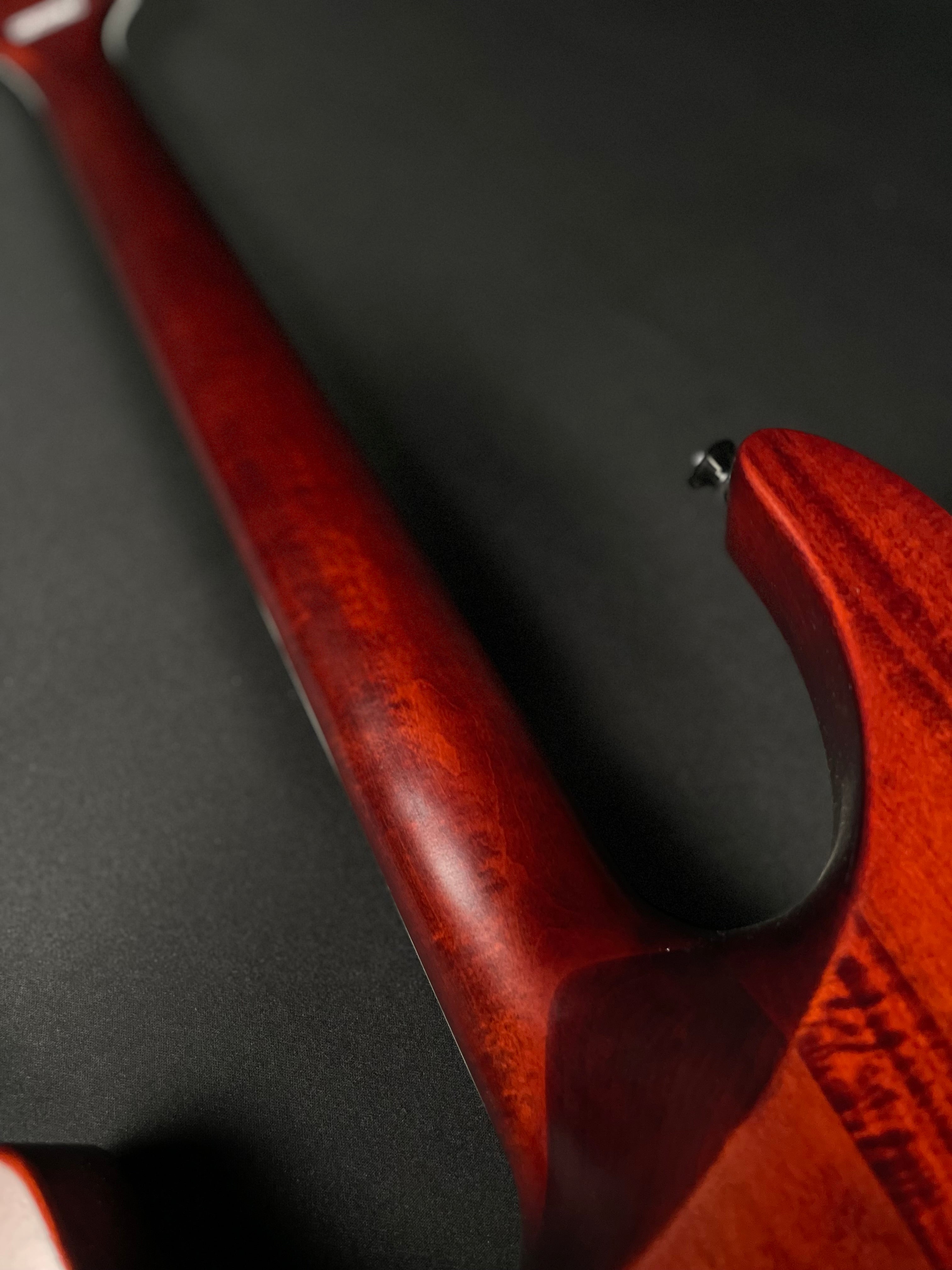 Jackson X Series Soloist SLX w/HSC - Zebrawood (2017)