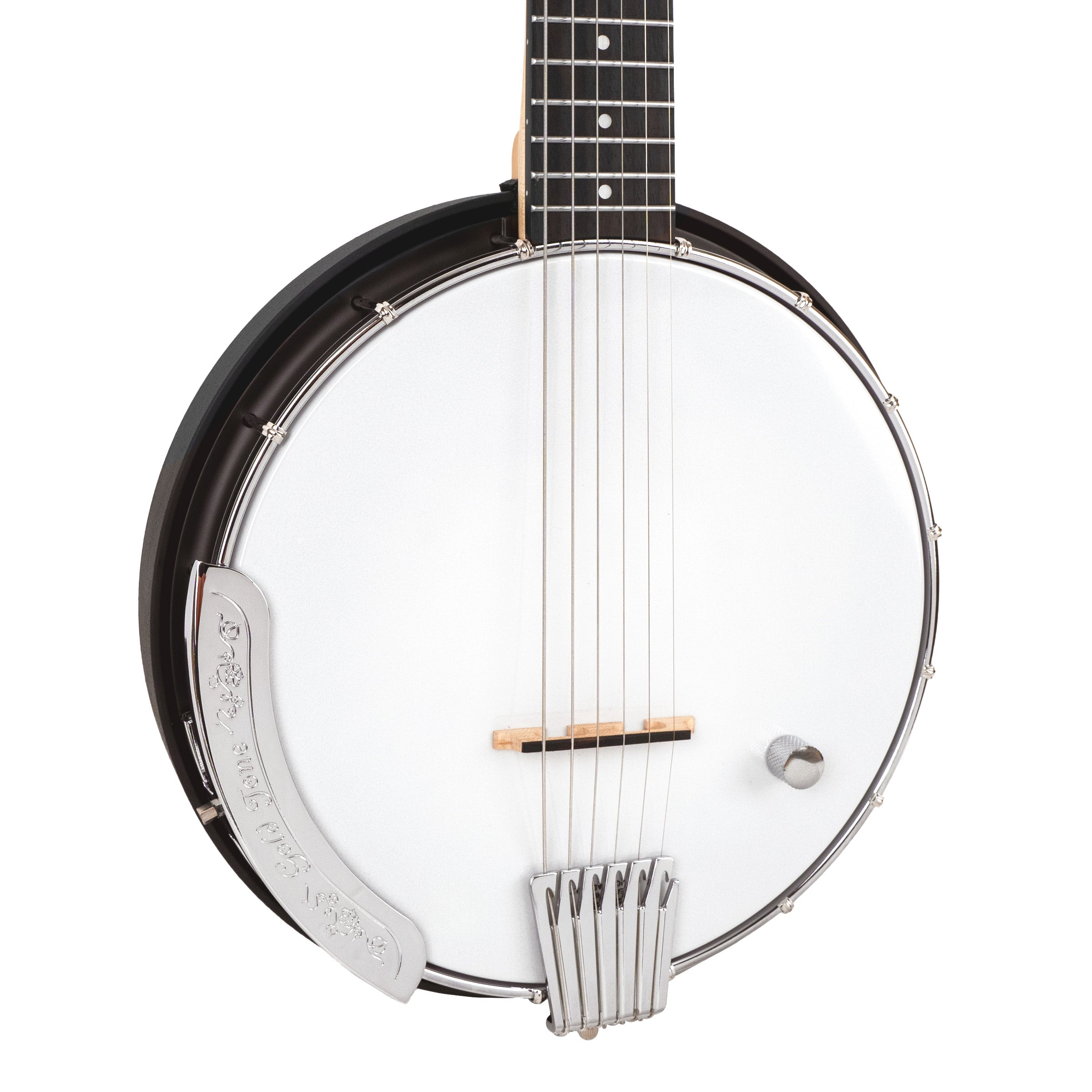 Gold Tone AC-6+: Acoustic Banjitar w/ Pickup and Gig Bag - Metronome Music Inc.
