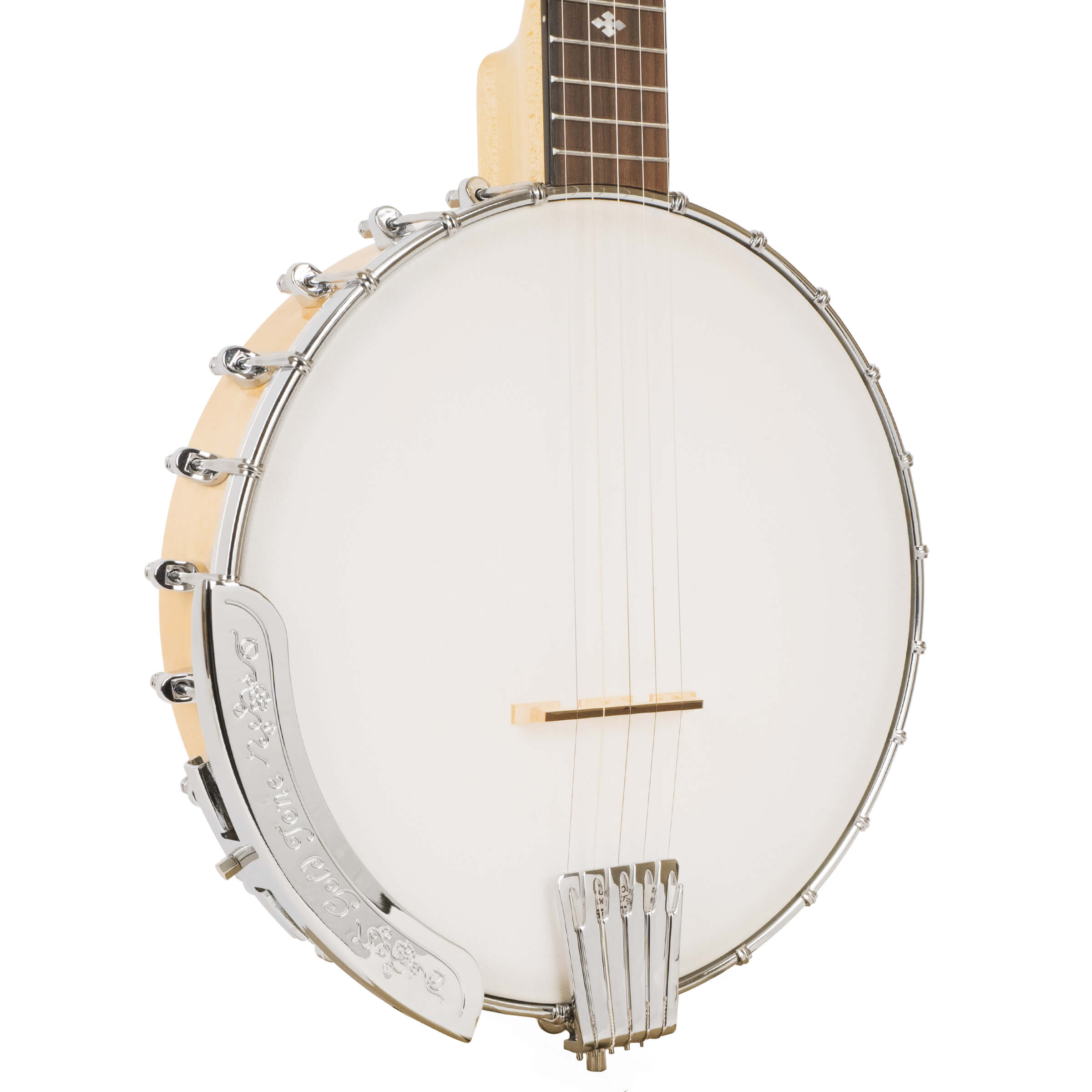 Gold Tone CC-100: Cripple Creek 5-String Banjo w/Bag - Metronome Music Inc.