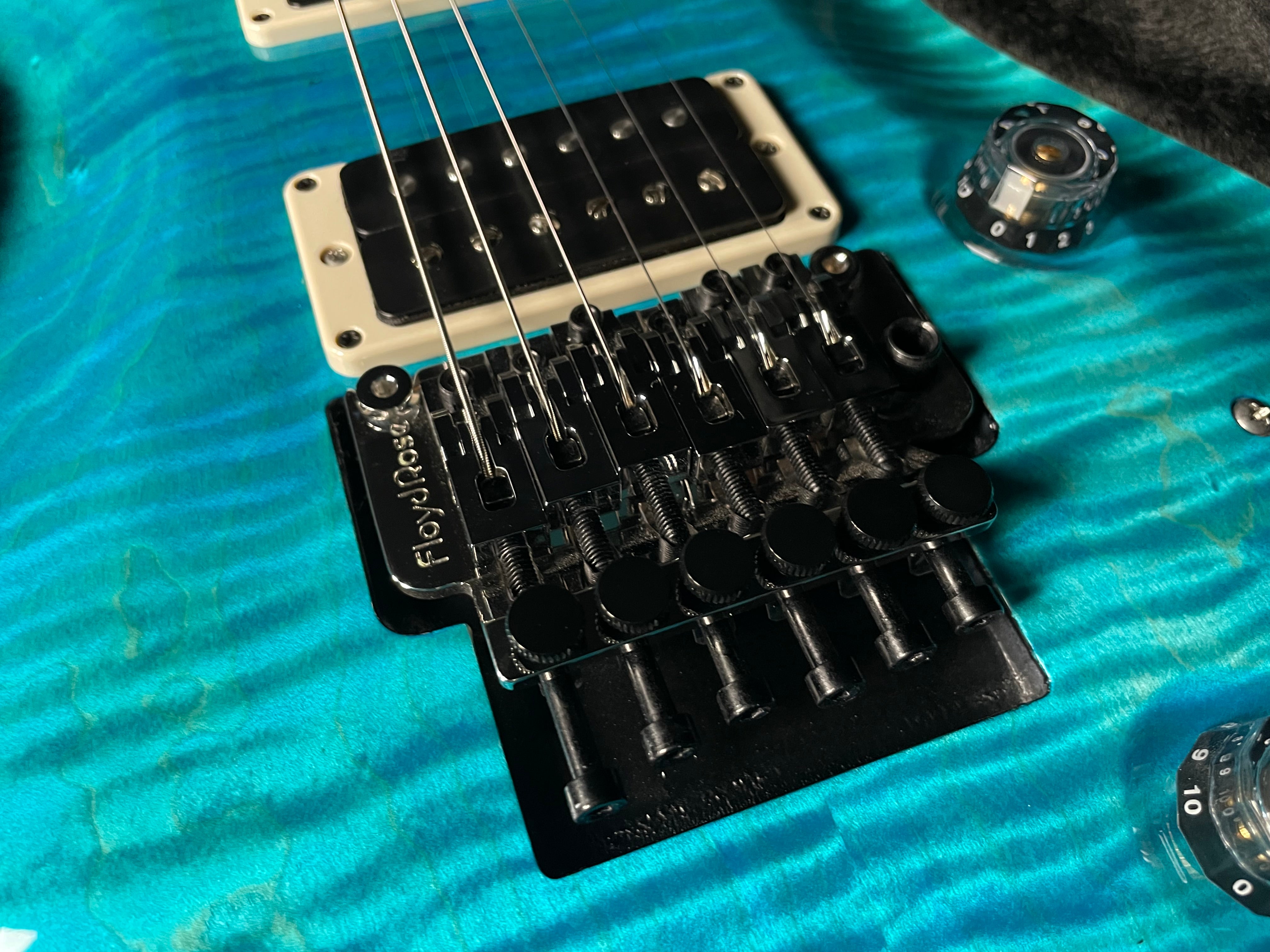 PRS Core Custom 24 "Floyd" Sprayer's Choice - Sparkle Back/Neck (SOLD)