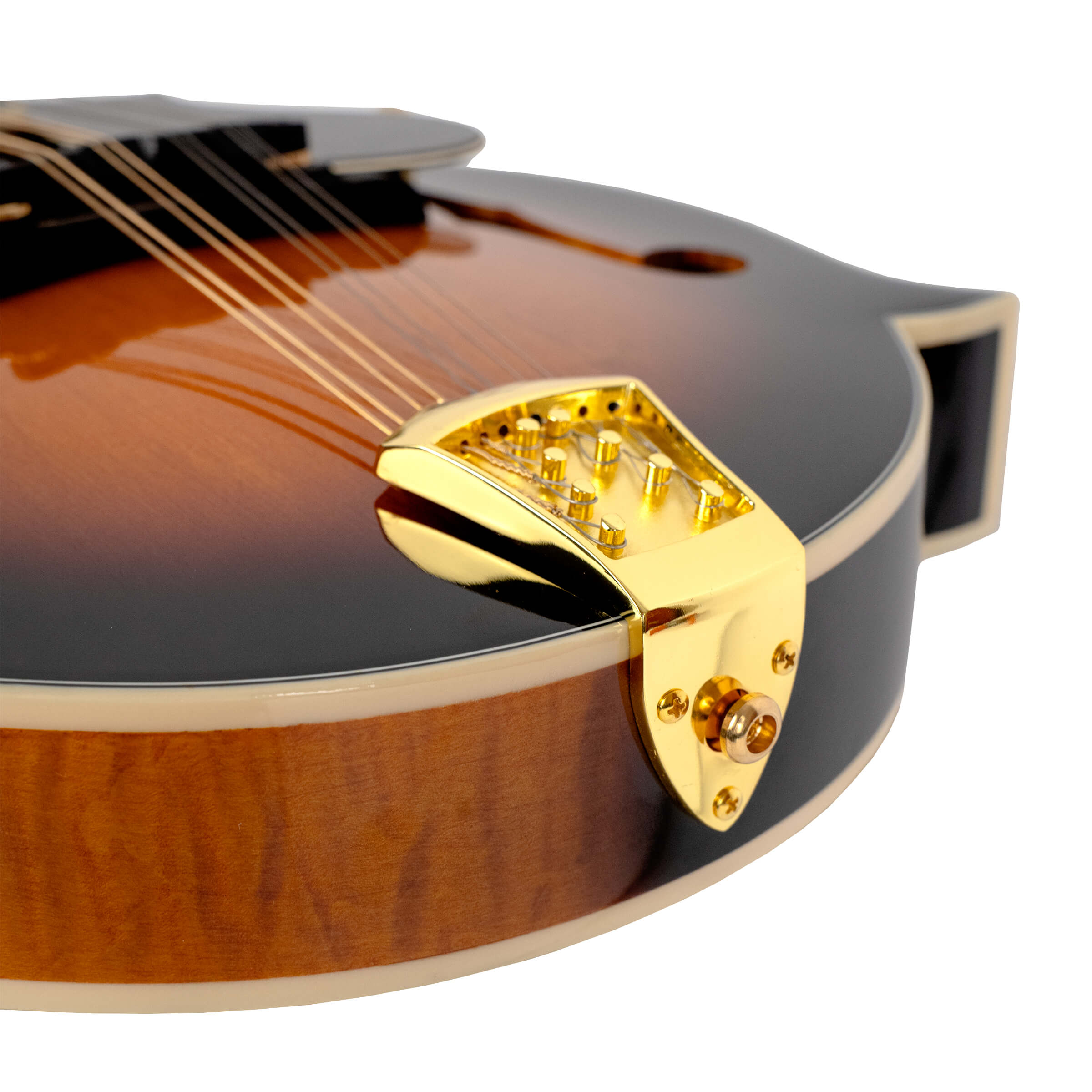 Gold Tone Mastertone GM-70+: F-Style Mandolin w/ Case - Metronome Music Inc.