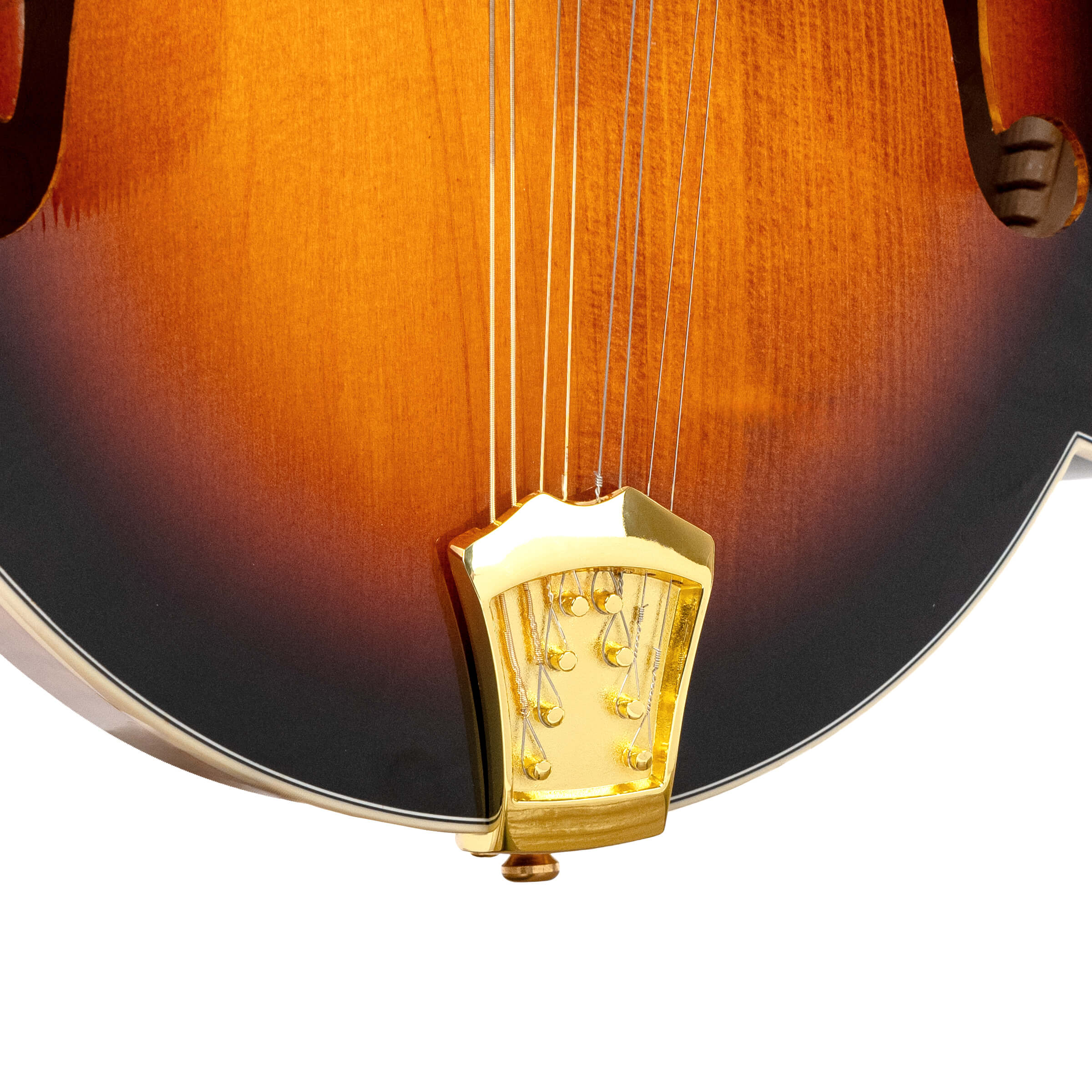Gold Tone Mastertone GM-70+: F-Style Mandolin w/ Case - Metronome Music Inc.