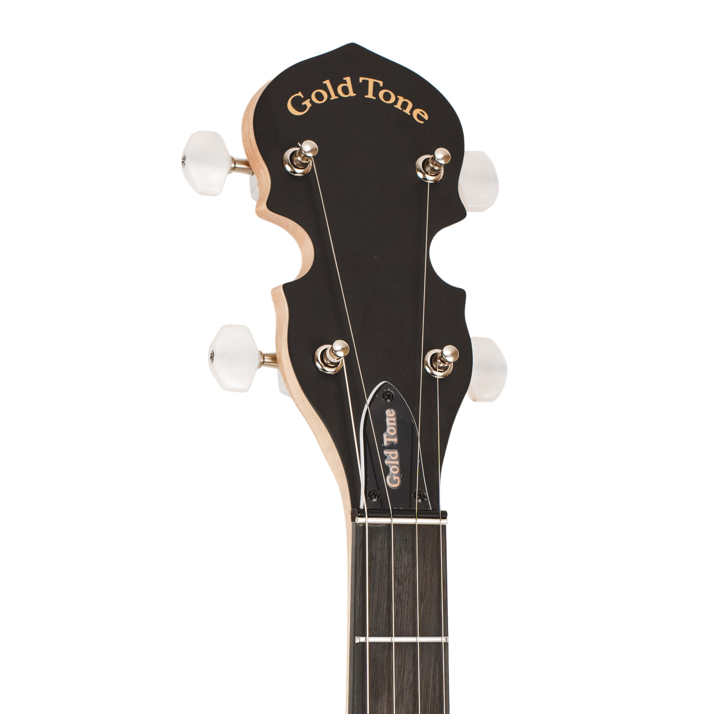 Gold Tone AC-5: Acoustic Composite 5-String Banjo w/Gig Bag - Metronome Music Inc.