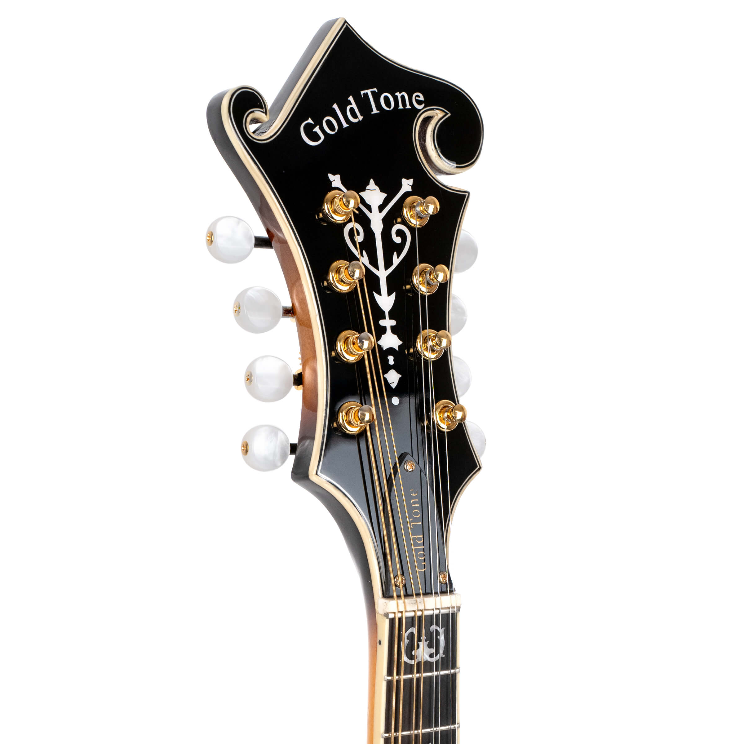 Gold Tone Mastertone GM-70+: F-Style Mandolin w/ Case - Metronome Music Inc.