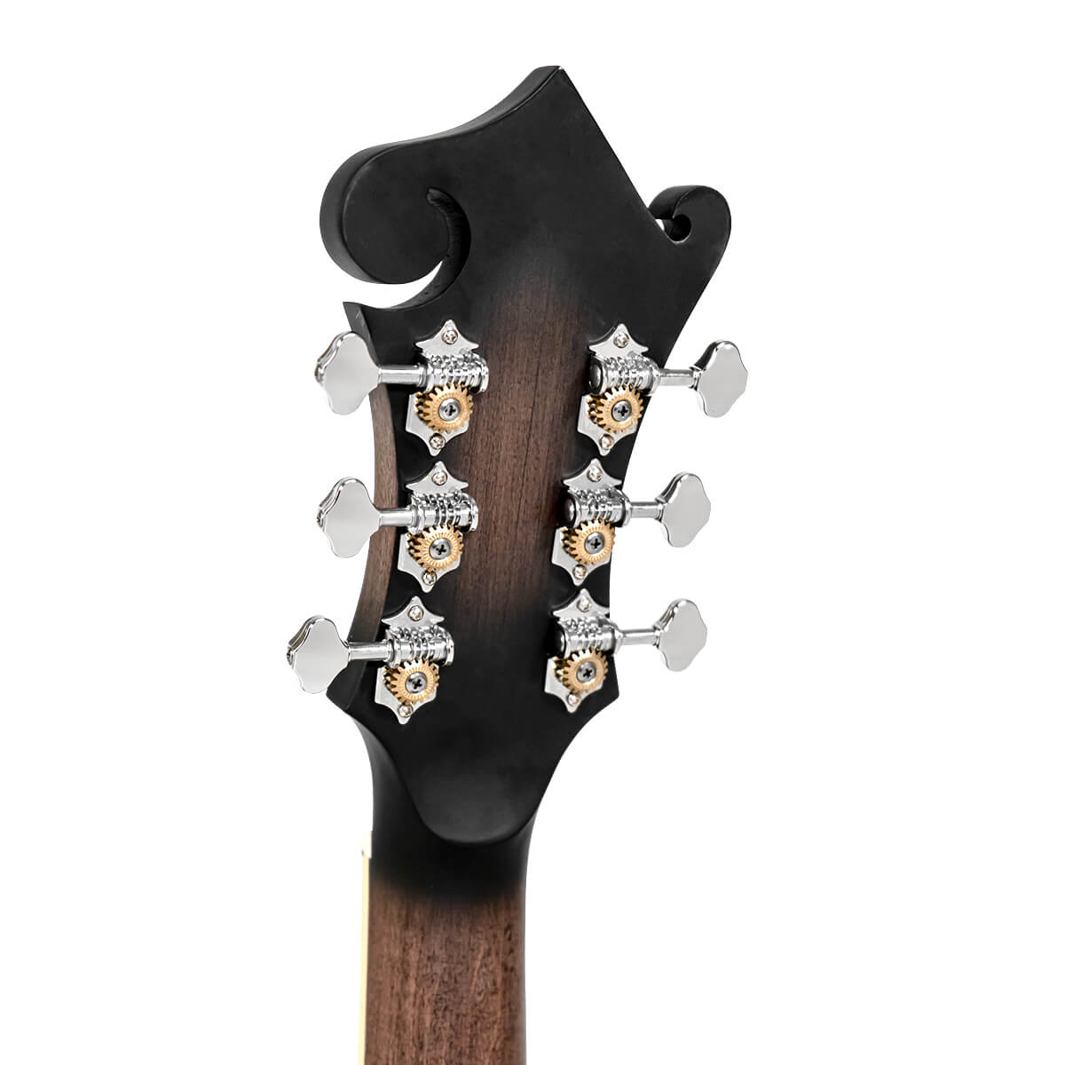Gold Tone F-6: F-style Mando-Guitar w/Pickup & Case - Metronome Music Inc.