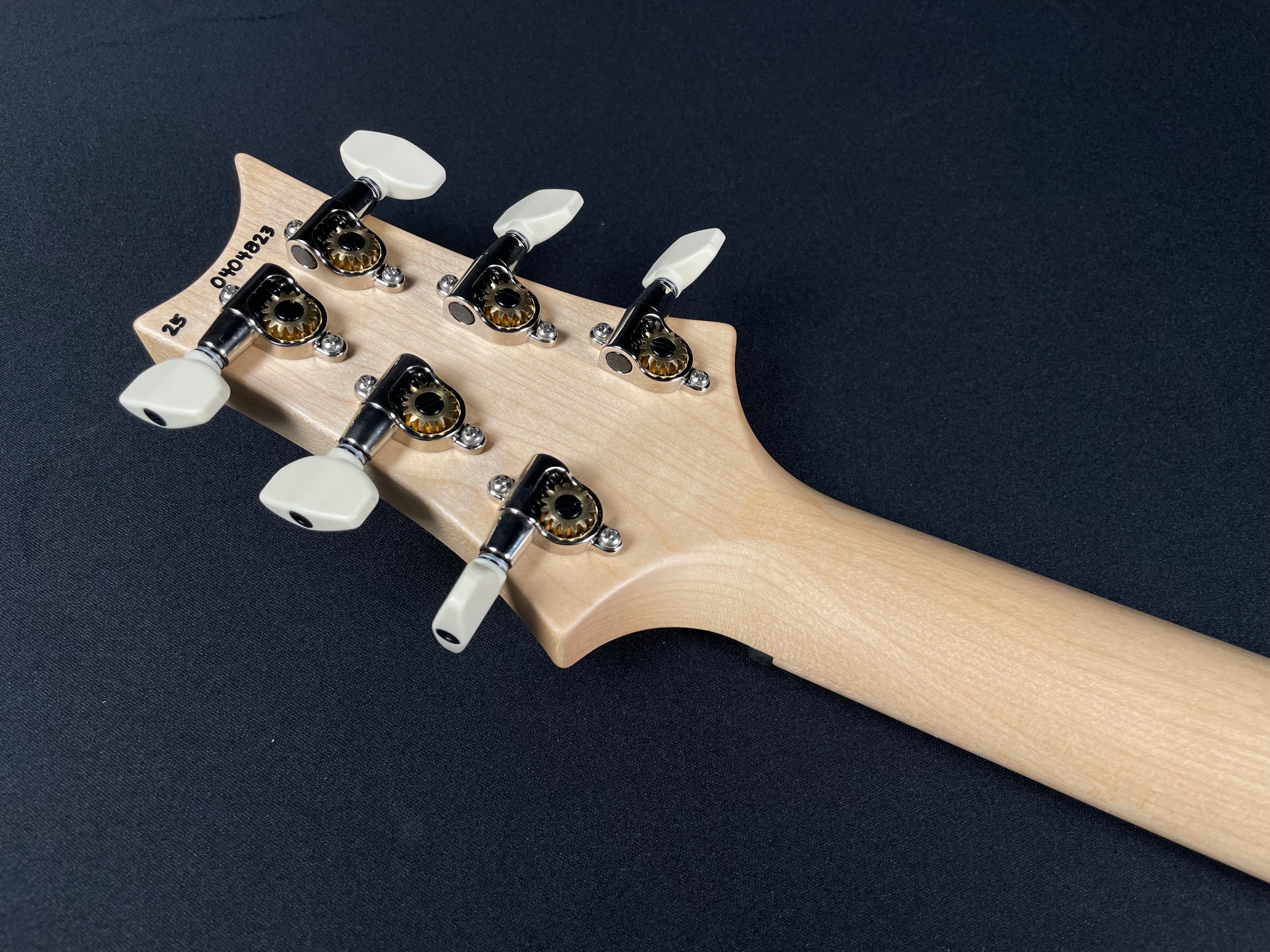 PRS Swamp Ash Special w/Gig Bag - White Doghair Smokeburst - Metronome Music Inc.