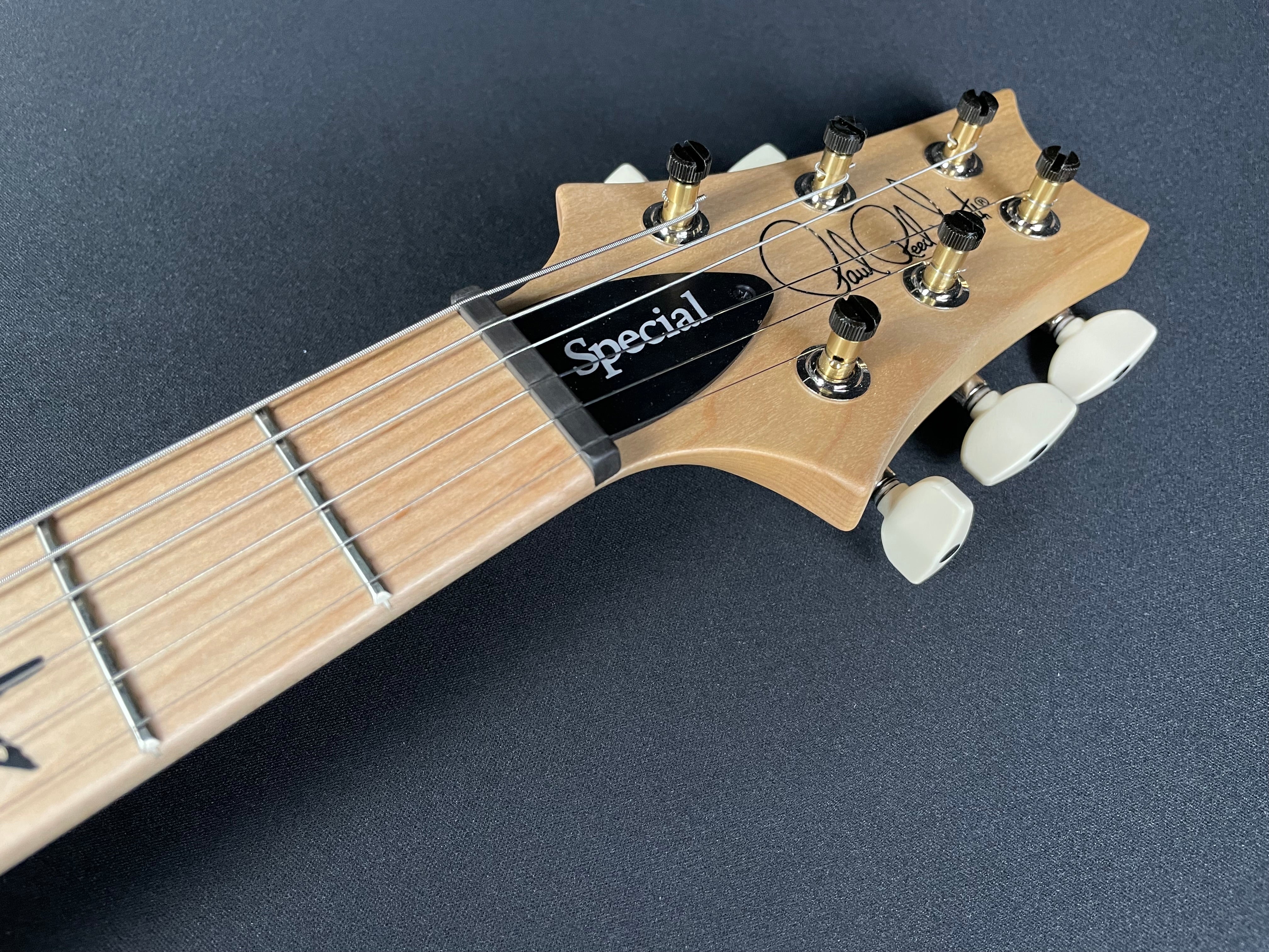 PRS Swamp Ash Special w/Gig Bag - White Doghair Smokeburst - Metronome Music Inc.