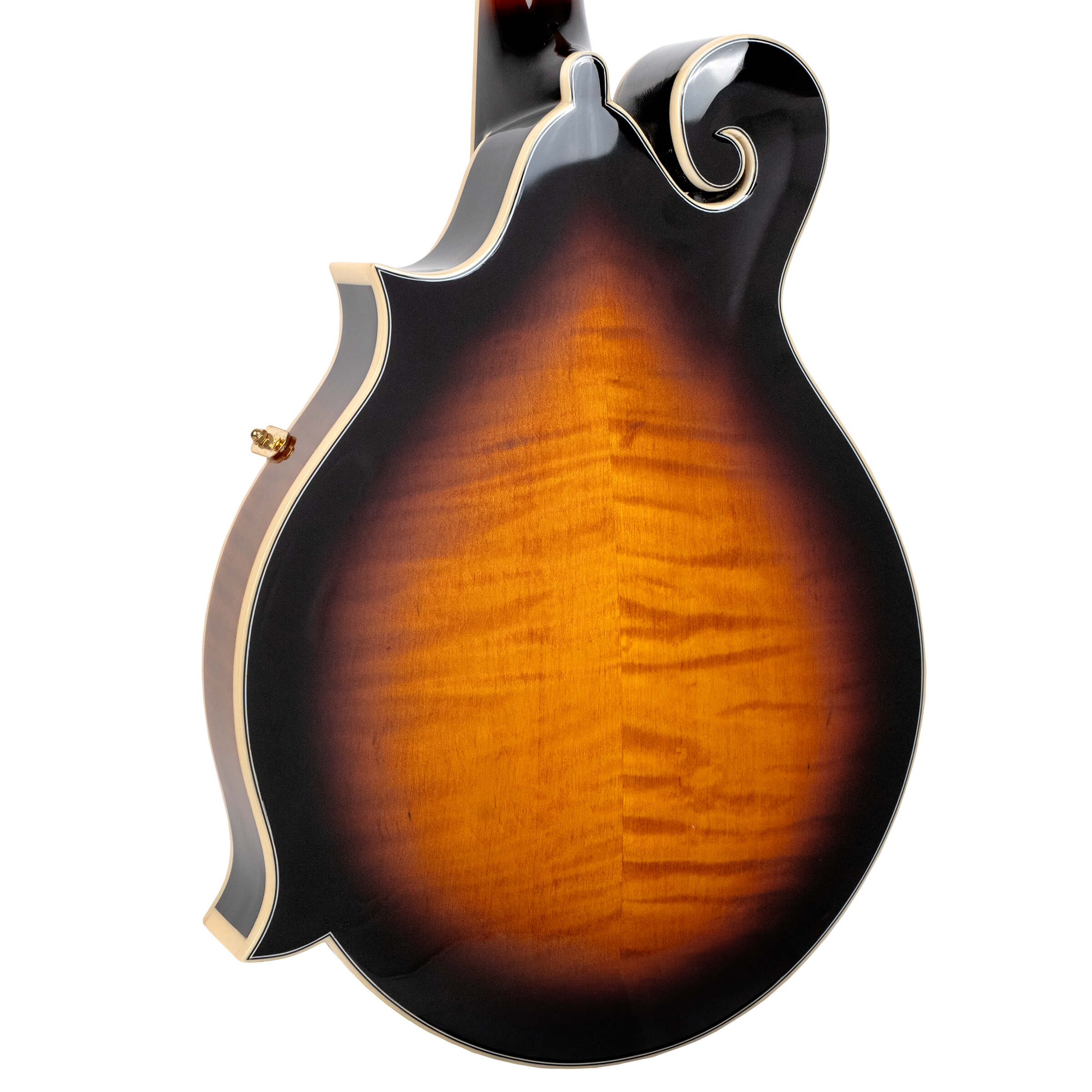 Gold Tone Mastertone GM-70+: F-Style Mandolin w/ Case - Metronome Music Inc.