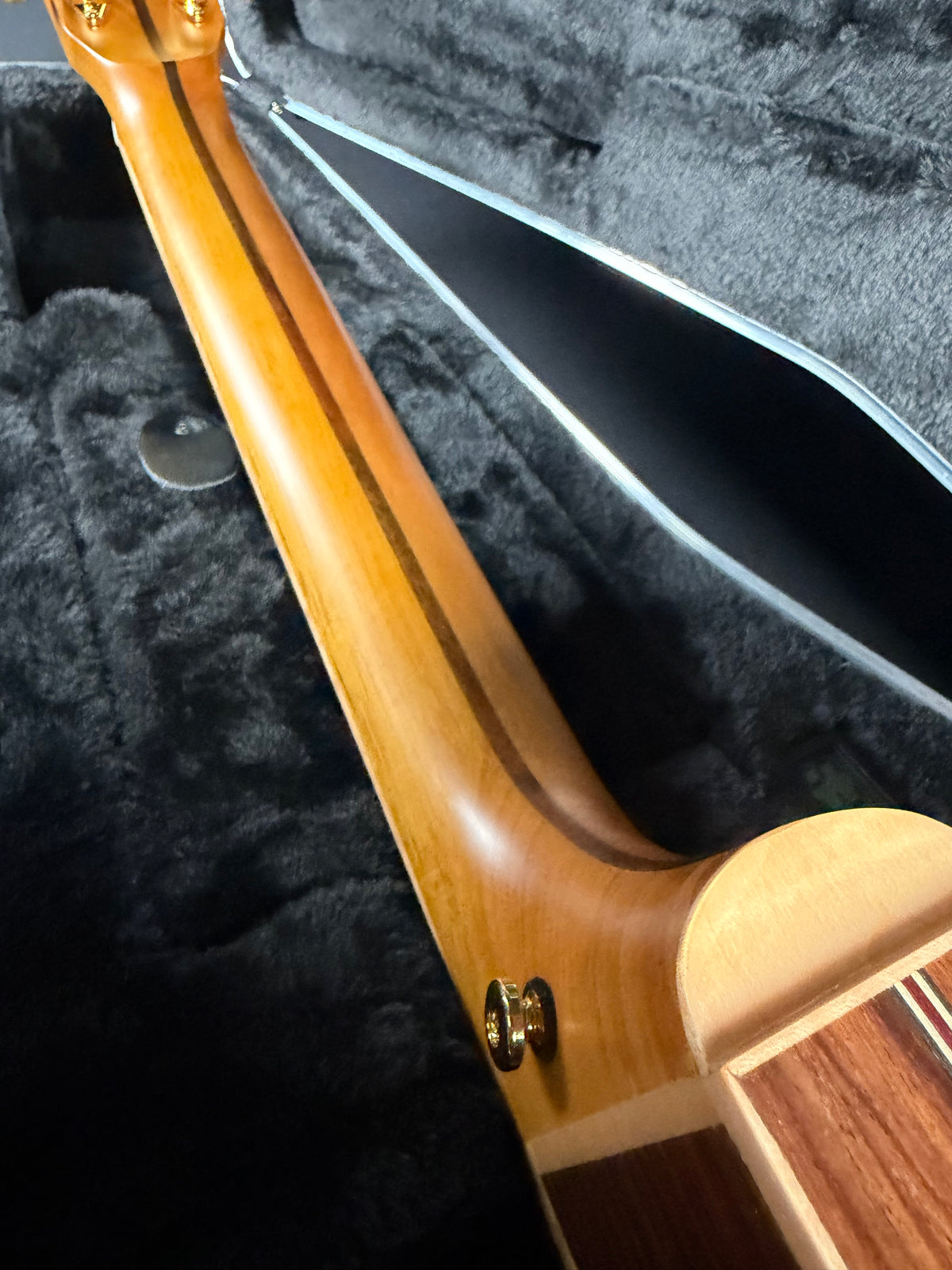 Zager ZAD900CE/AURA/N w/Hardshell Case - Natural (2024)